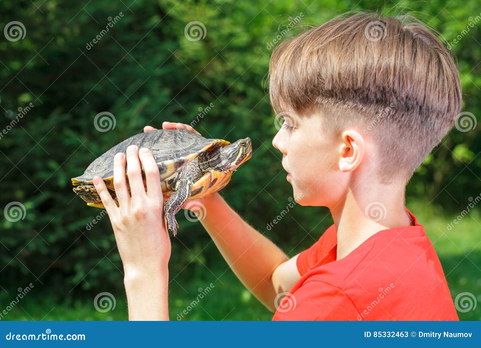 Рисунки для мальчиков черепашки. Верхом на черепахе. Мальчик следопыт. Сухопутная черепаха мальчик. Гигантская черепаха.