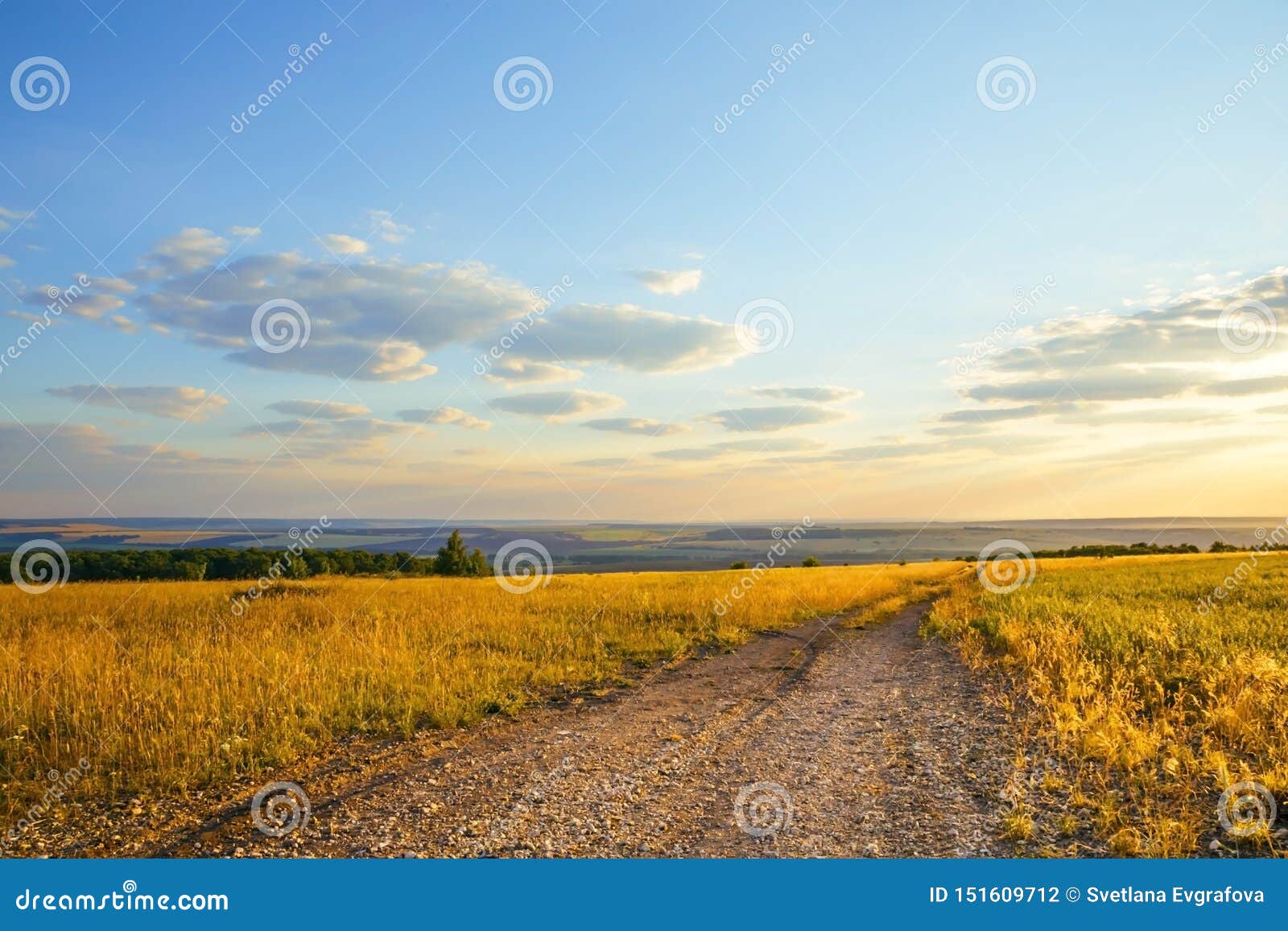 Саратовская Природа Фото Саратовская Природа Фото