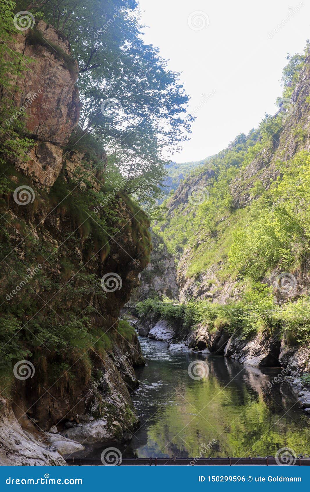 Самая Лучшая Программа Для Фото