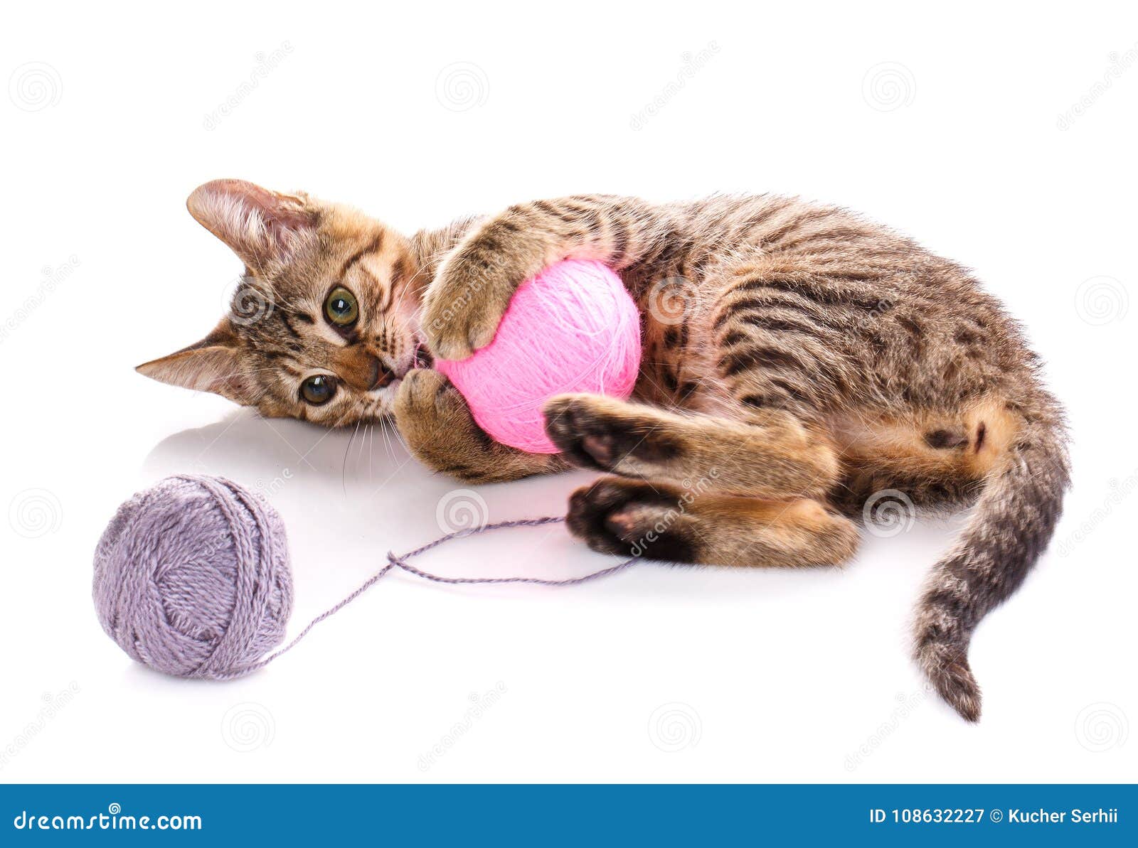 Котенок играет с клубком