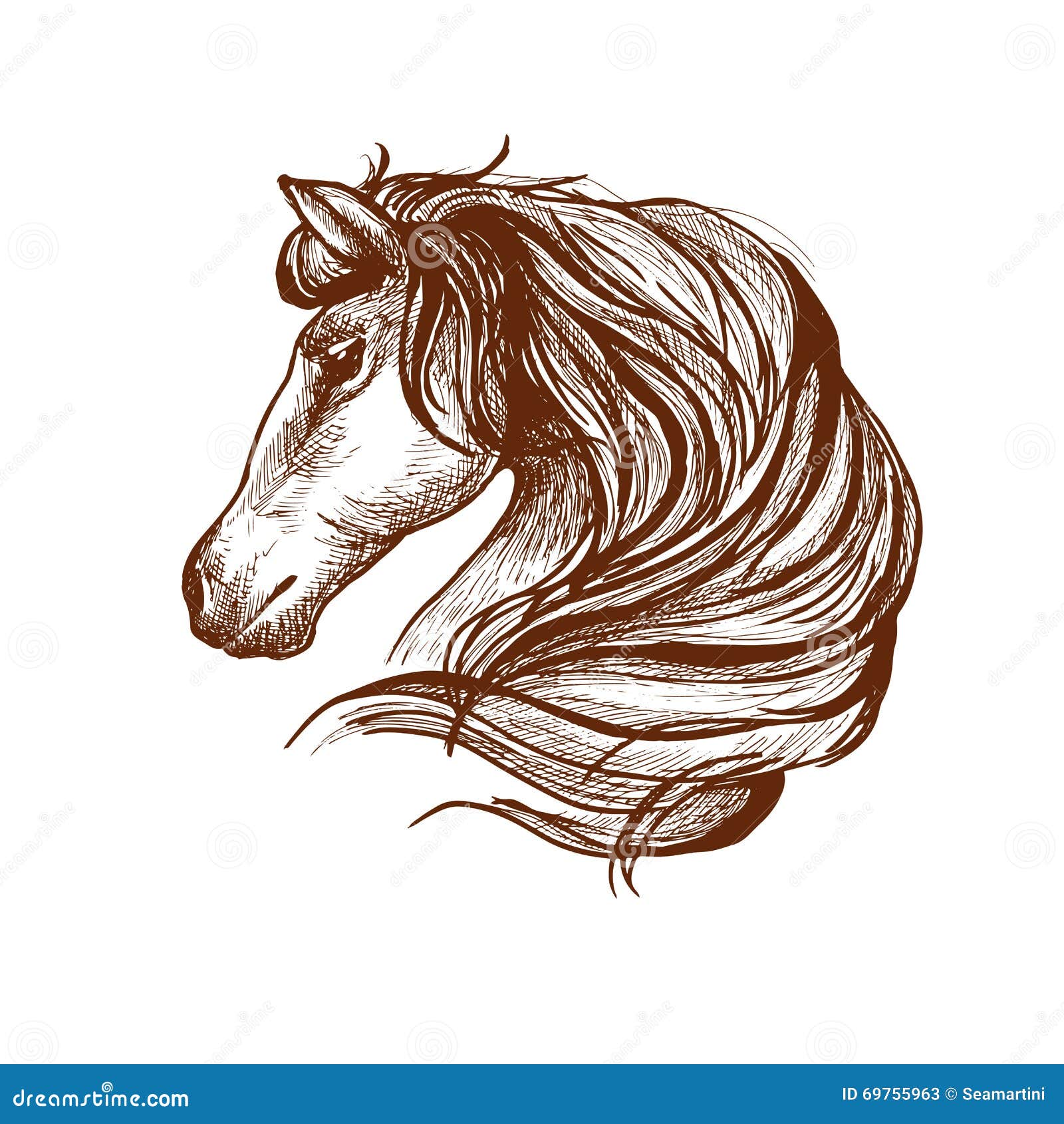 Профиль лошади с пропуская гривой, стиль эскиза Иллюстрация вектора -  иллюстрации насчитывающей любимчик, конематка: 69755963