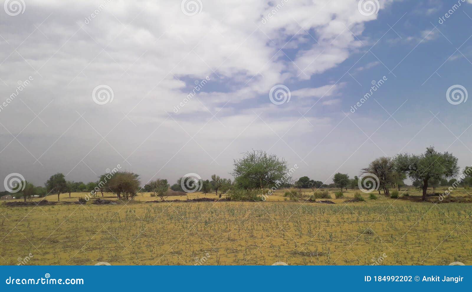 Free Images : landscape, tree, nature, horizon, cloud, sky, field, farm, lawn, m