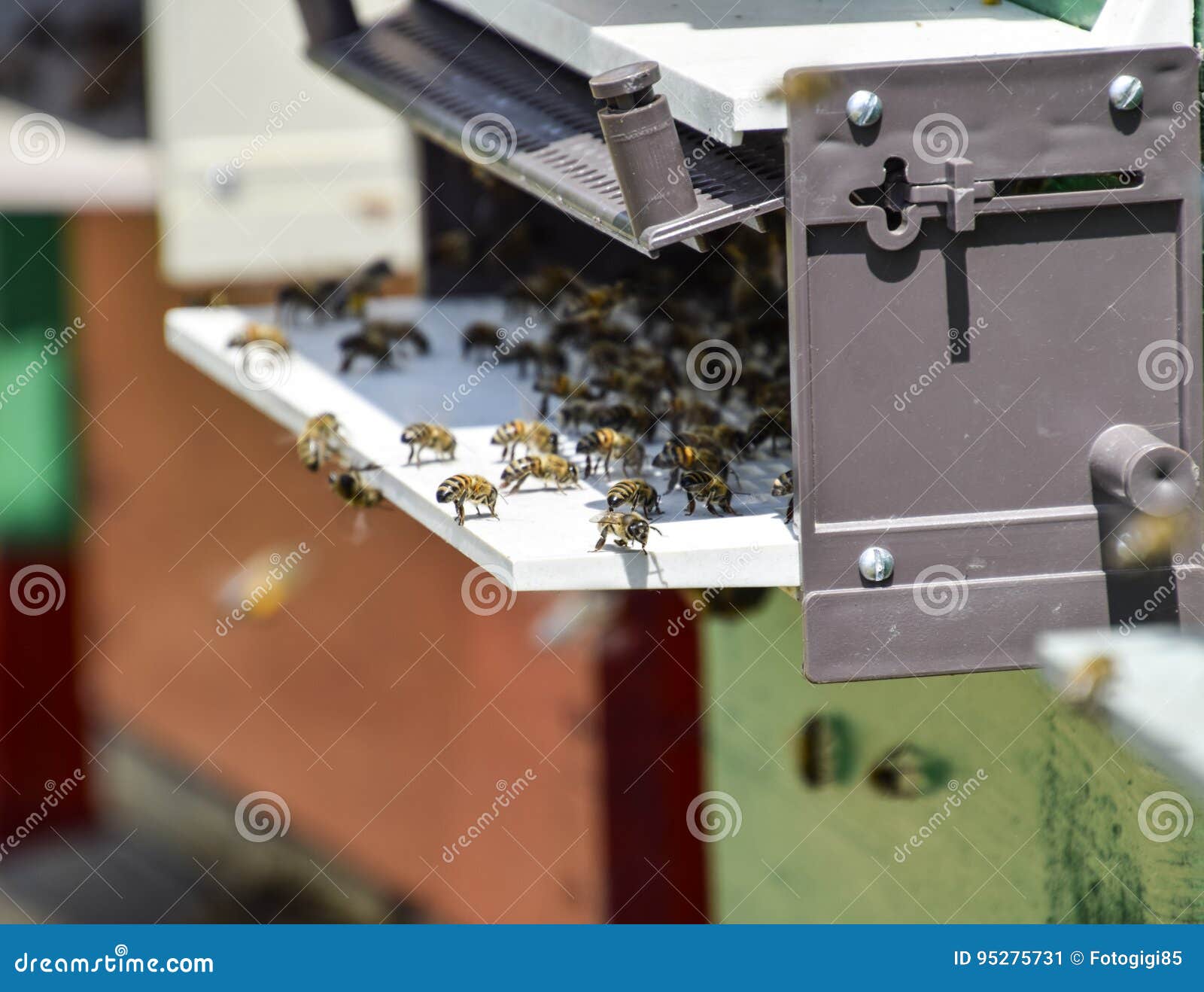 вошел в дырочку. заглубленный погреб схема. рука поворачивает ручку прибыли. She used her key to open the front door. вошел в дырочку.