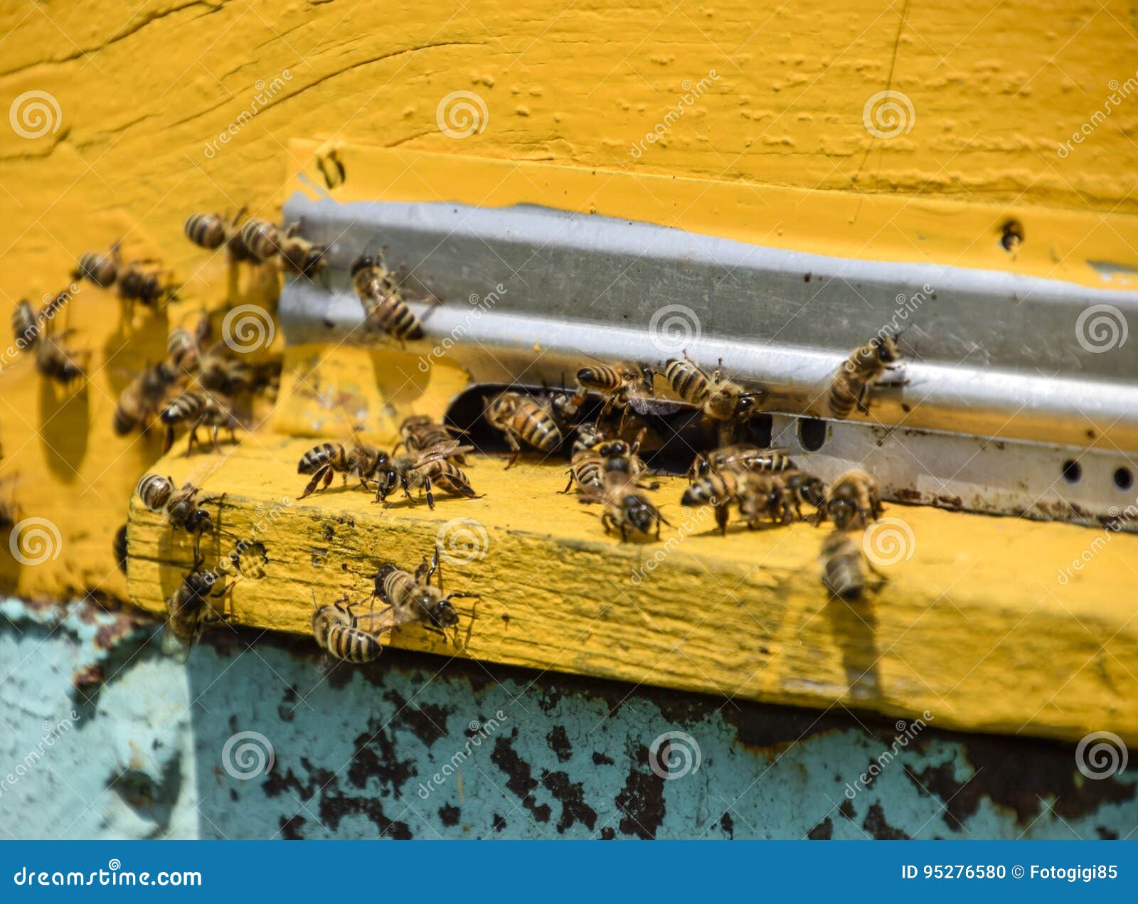 Отверстие в улье 5. Отверстие в улье 5. Улей лазутина усовершенствованный. Рамки для пчел. Инструменты для пчеловодства.