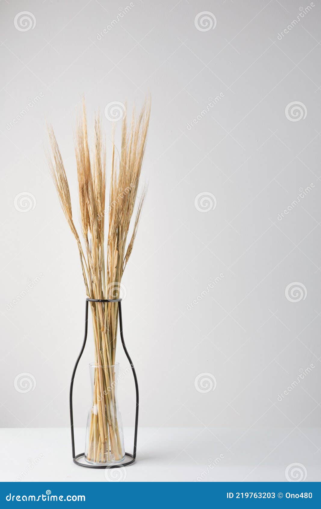 Vase michael aram. букет из пшеничных колосьев в вазе. сухоцвет тритикум пшеница. ваза с колосьями в интерьере. ваза с колосьями пшеницы.