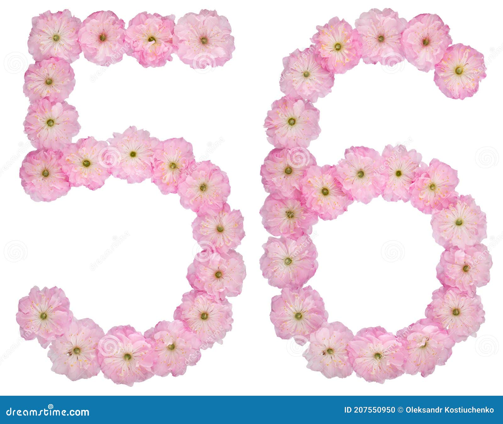 56 Пятьдесят шесть цифр от естественных розовых цветов миндального дереваизолированных на белом фоне Стоковое Фото - изображение насчитывающейизолят, естественно: 207550950