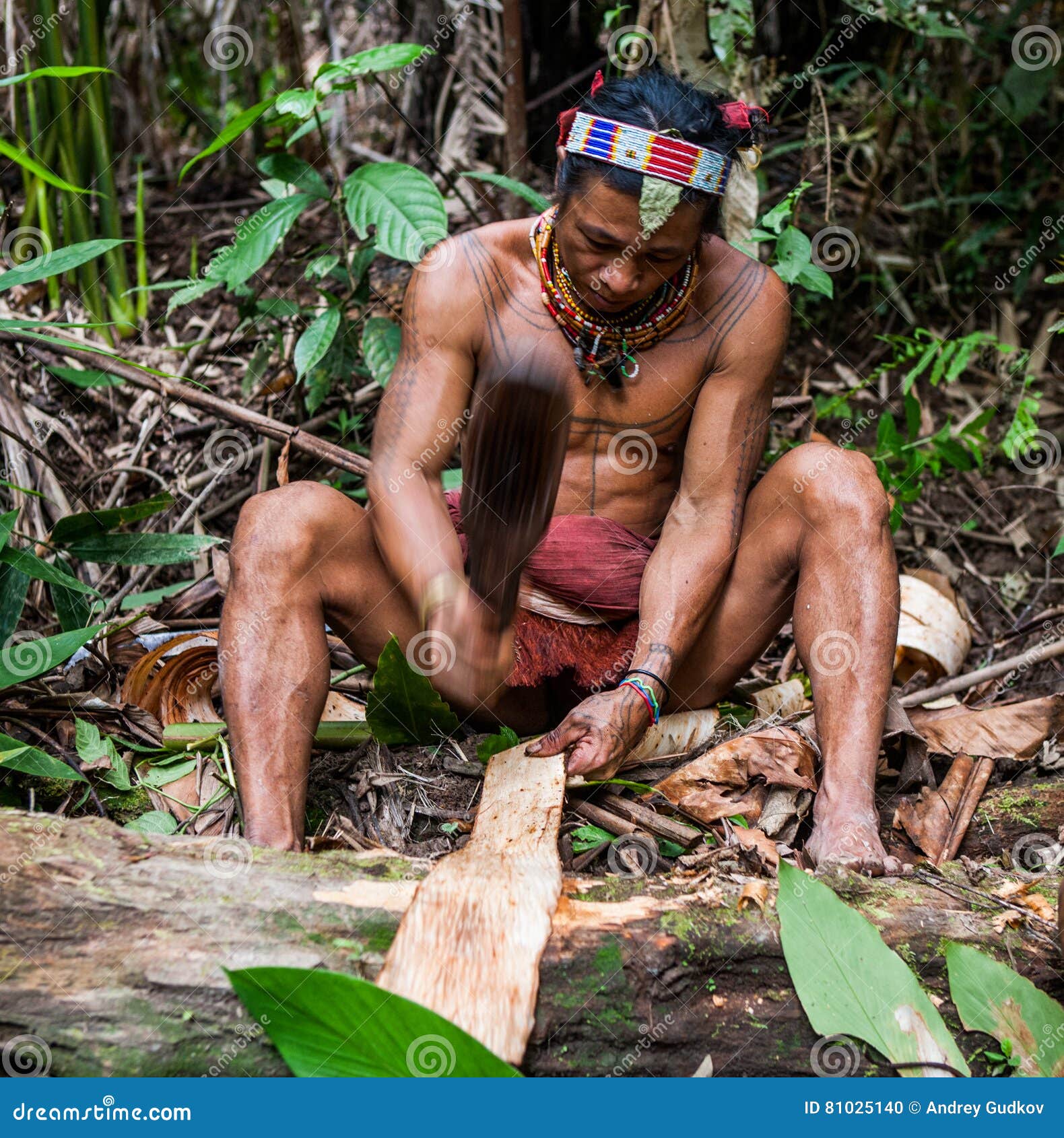 обнаженные племена Племя Mentawai человека в джунглях делает его одежды от коры дерева  Редакционное Изображение - изображение насчитывающей жизнь, собирать:  81025140