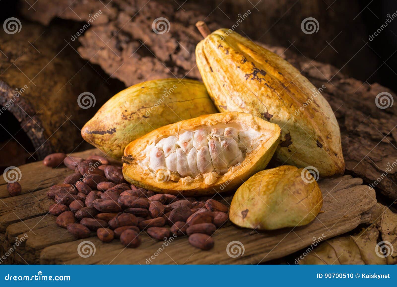 Белые какао бобы. Белые какао бобы. Плоды какао. Какао бобы. Какао бобы.