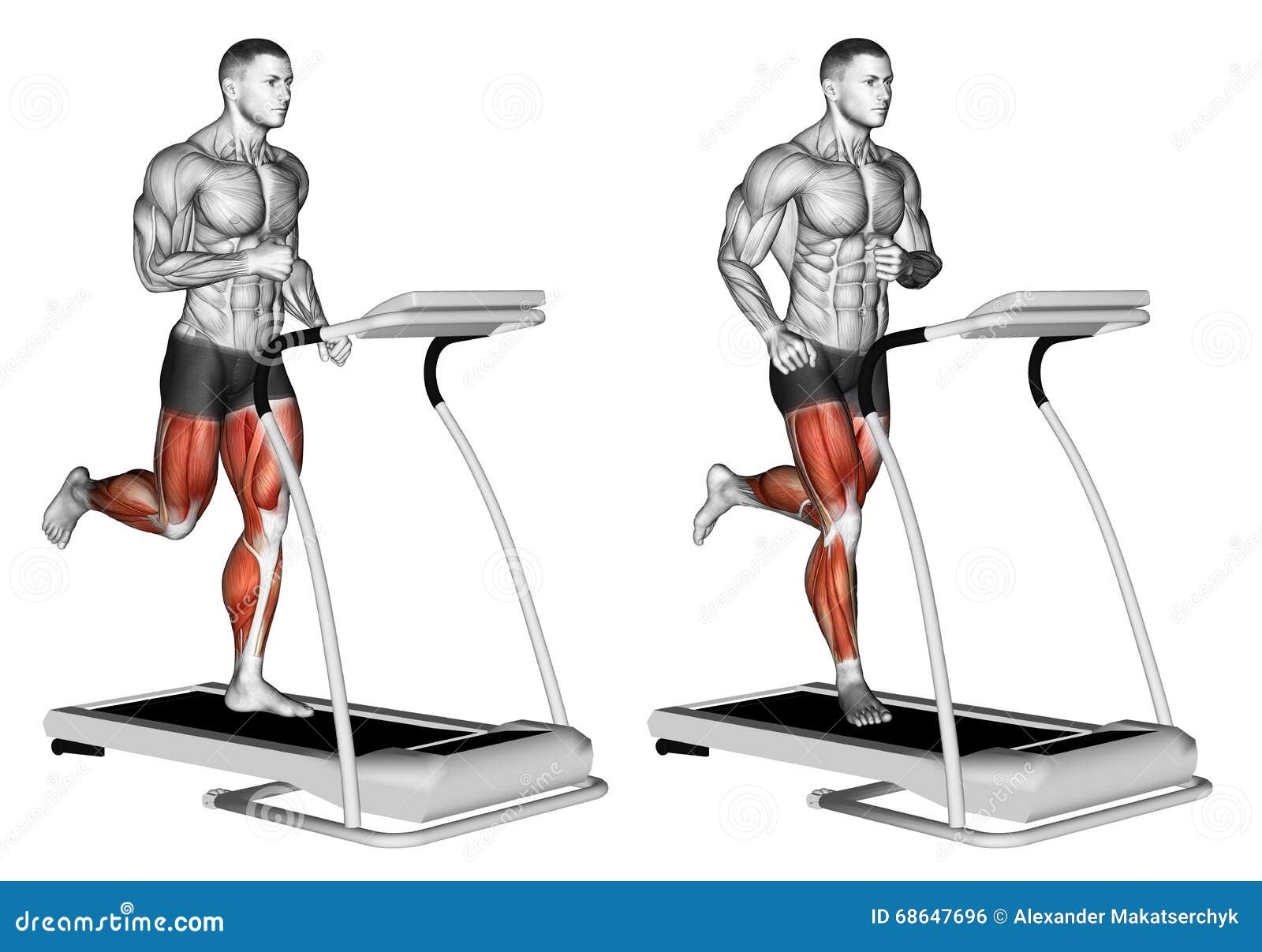 Какие мышцы качаются при беге. Беговая дорожка группы мышц. Ходьба на беговой дорожке группы мышц. Мышцы задействованные на беговой дорожке. Мышцы при беге на беговой дорожке.