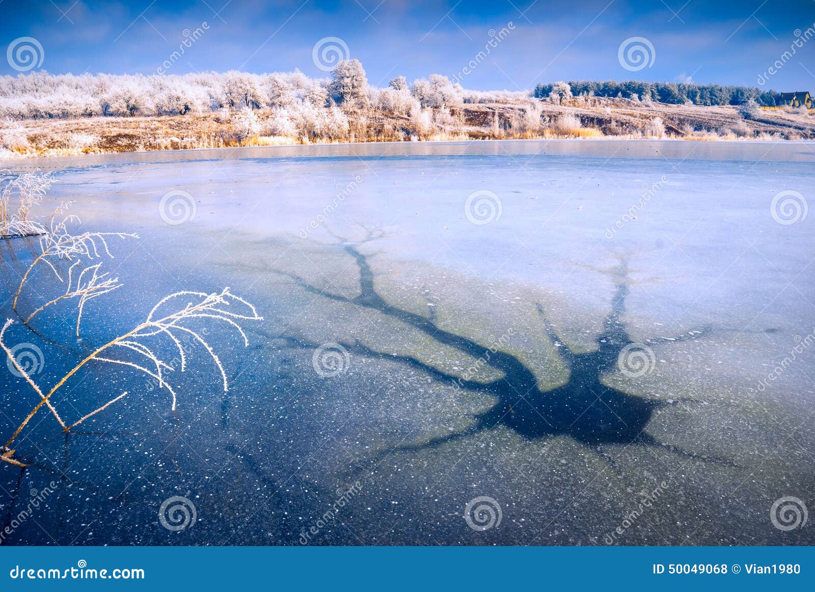Озеро разбита. Расколотый лёд на озере. Треснутый лед на озере. Льды на озере разломленные. Треснул лед на озере.