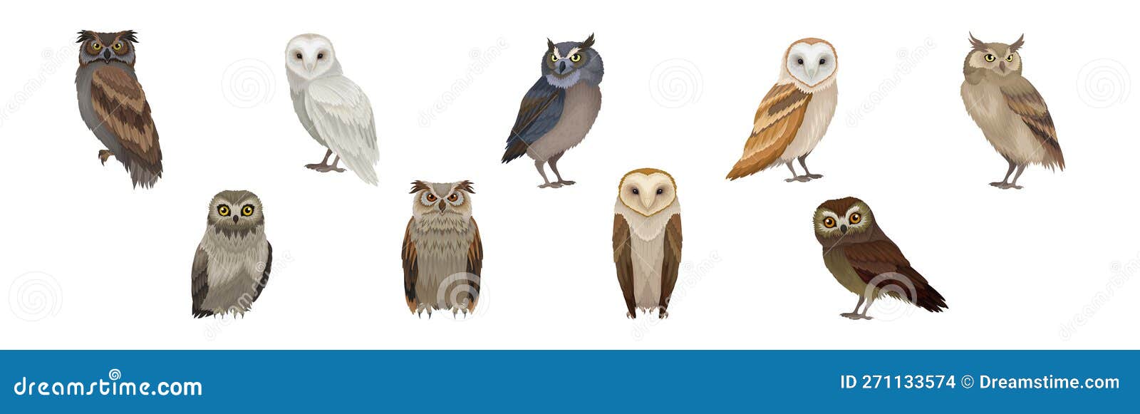 разные виды совы, как ночная птица-добыча с ястребовым клювом и векторным  вектором глаз, Иллюстрация вектора - иллюстрации насчитывающей оперено,  комплект: 271133574