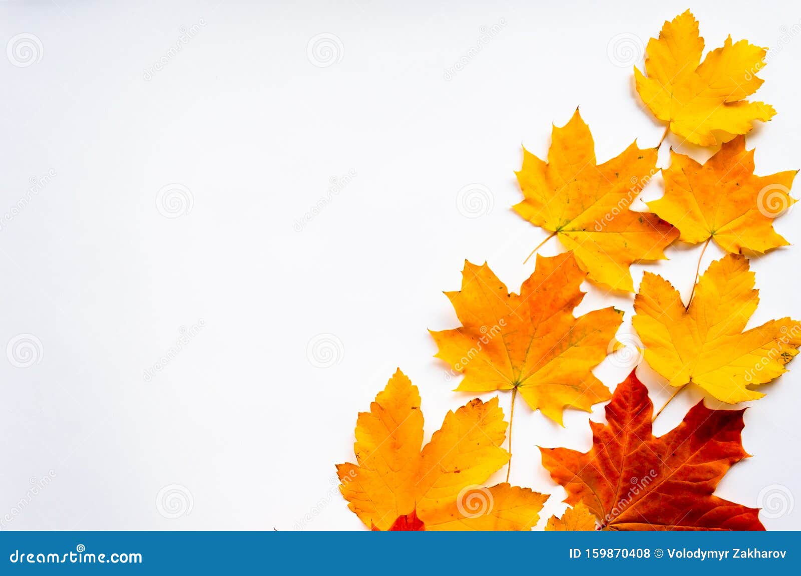 Рамки Для Фото Осенние Листья