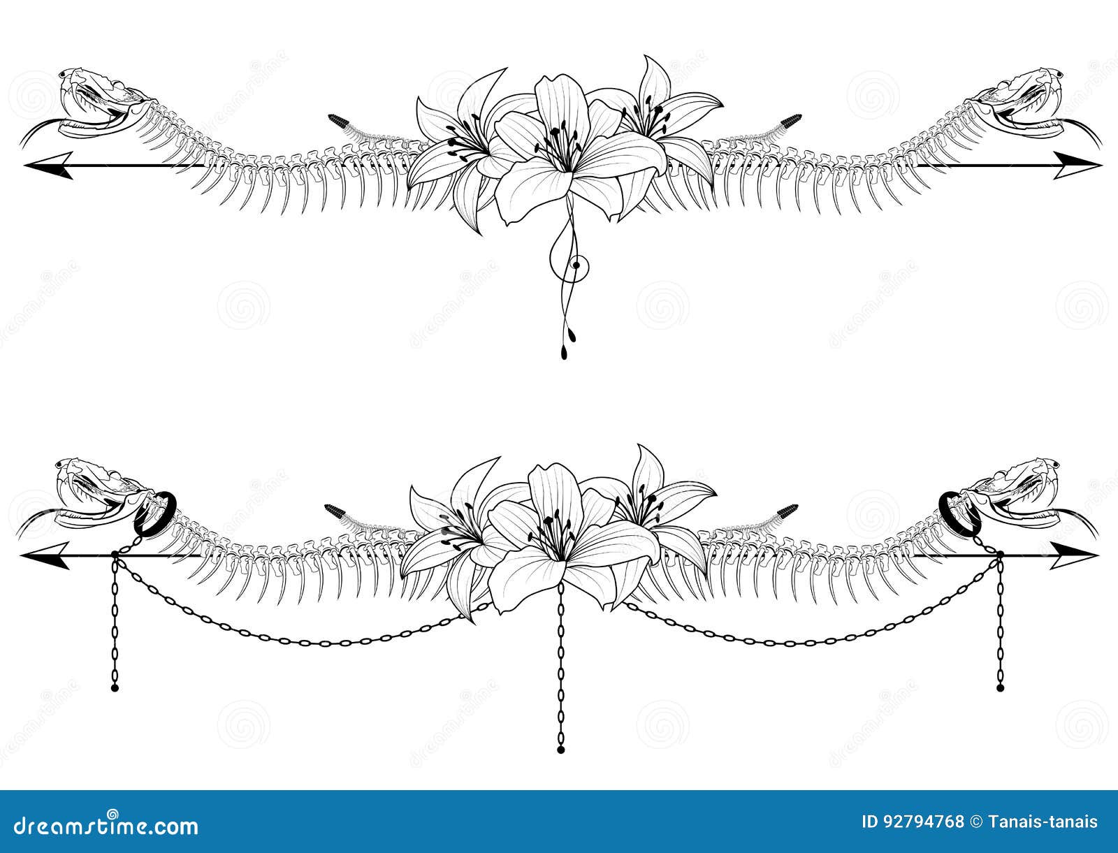 Какая симметрия у змеи. Скелет змеи. Скелет змеи с подписями. Snake Lily.