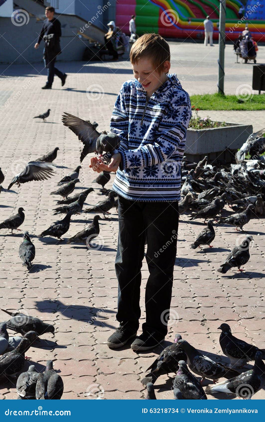 Голубь подросток