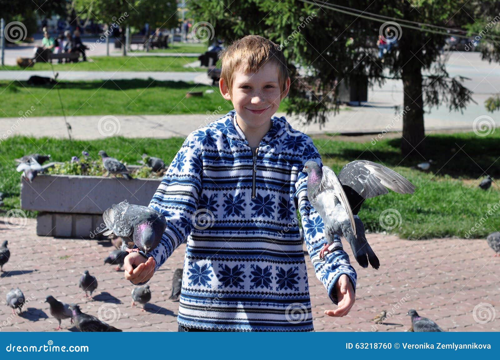 Голубь подросток