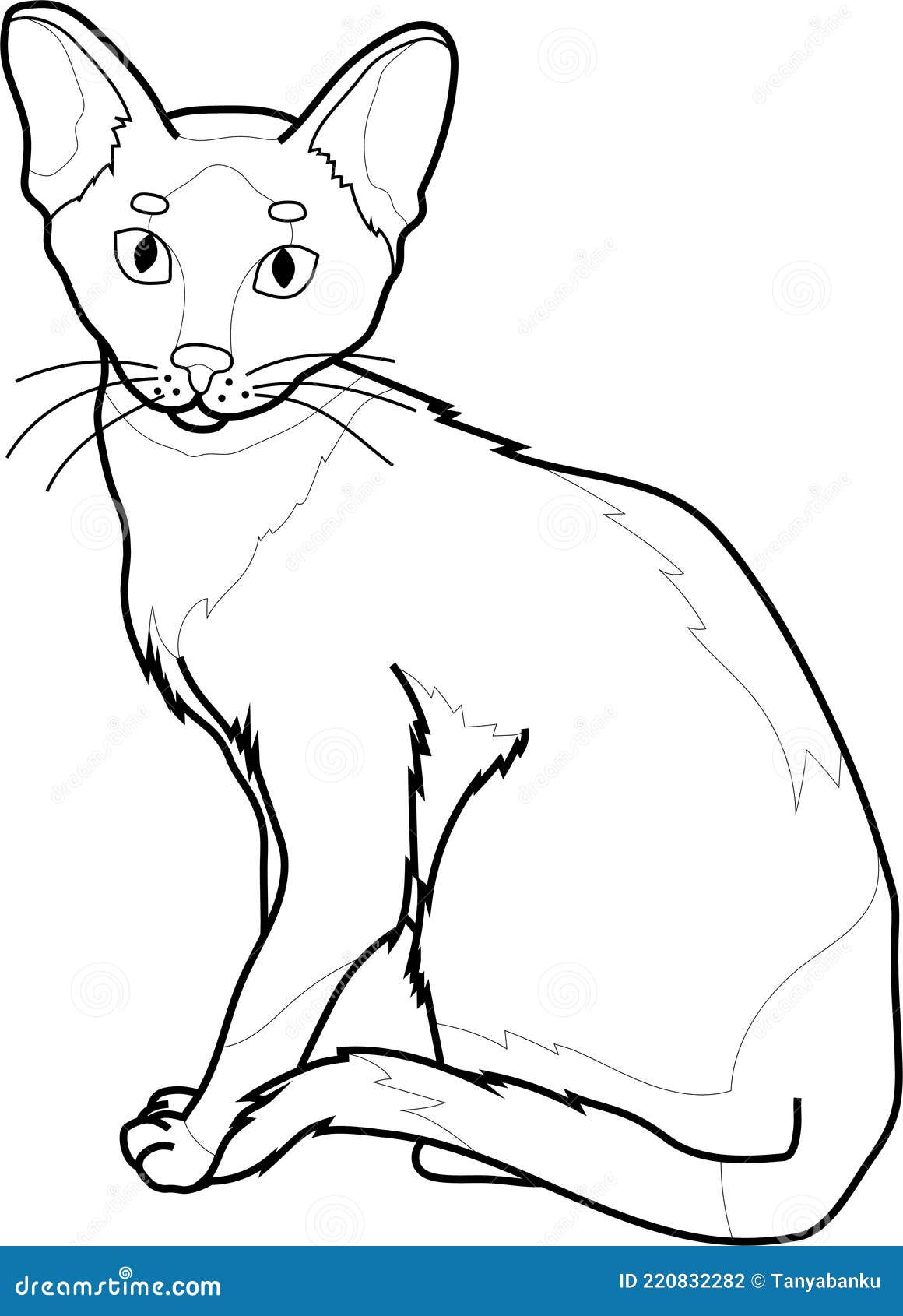 реалистичный шаблон рисунка сидячей кошки. векторная иллюстрация рисунка  черным и белым Иллюстрация вектора - иллюстрации насчитывающей иллюстрация,  черный: 220832282