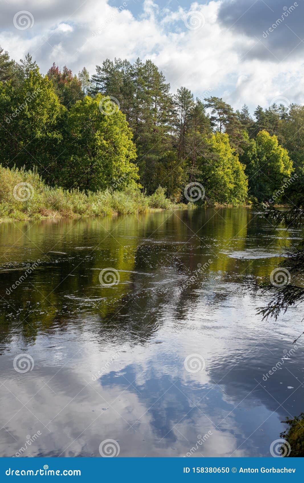 Фото Про Реку