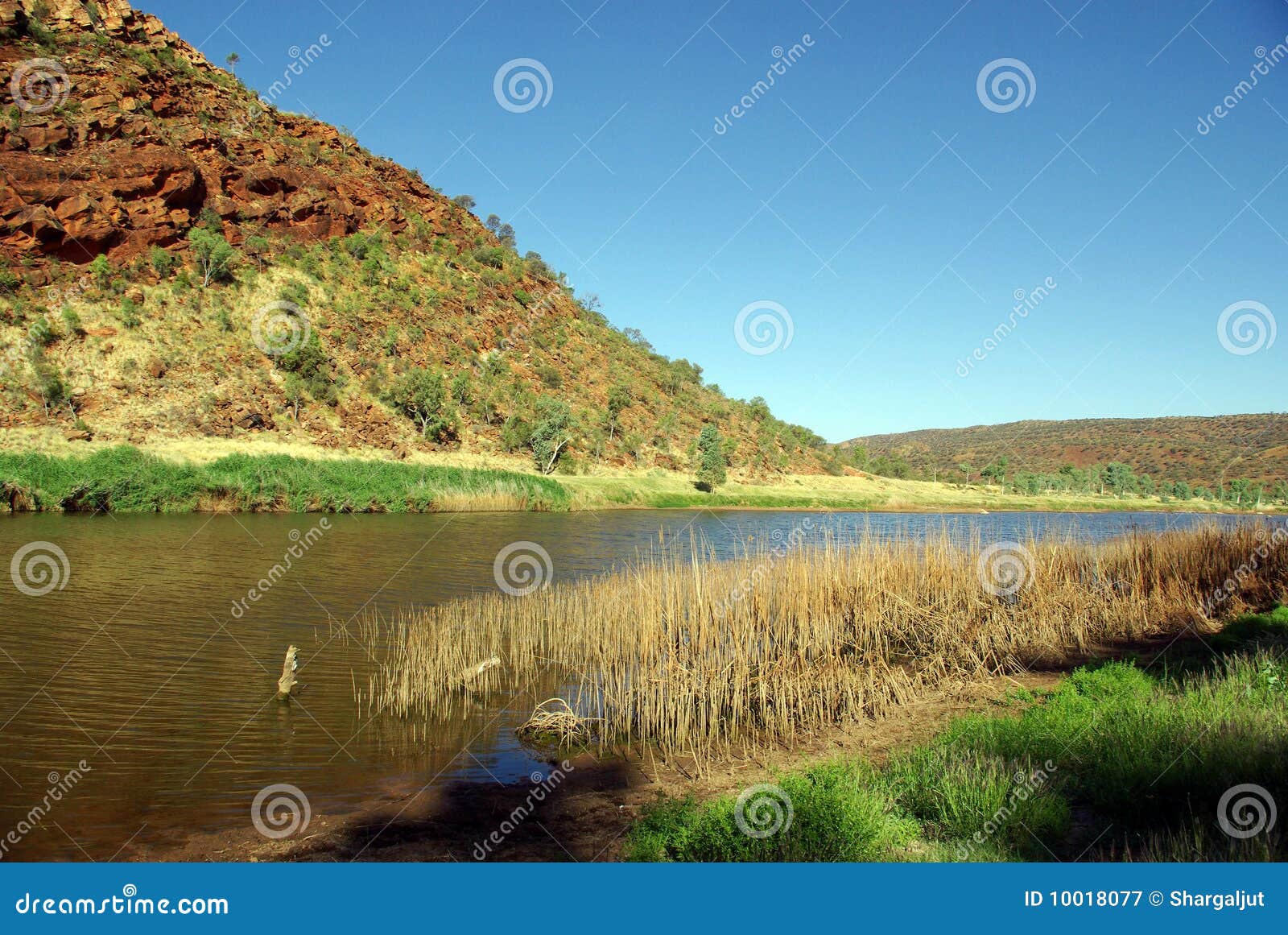 река finke Австралии стоковое изображение. изображение насчитывающей  размывание - 10018077
