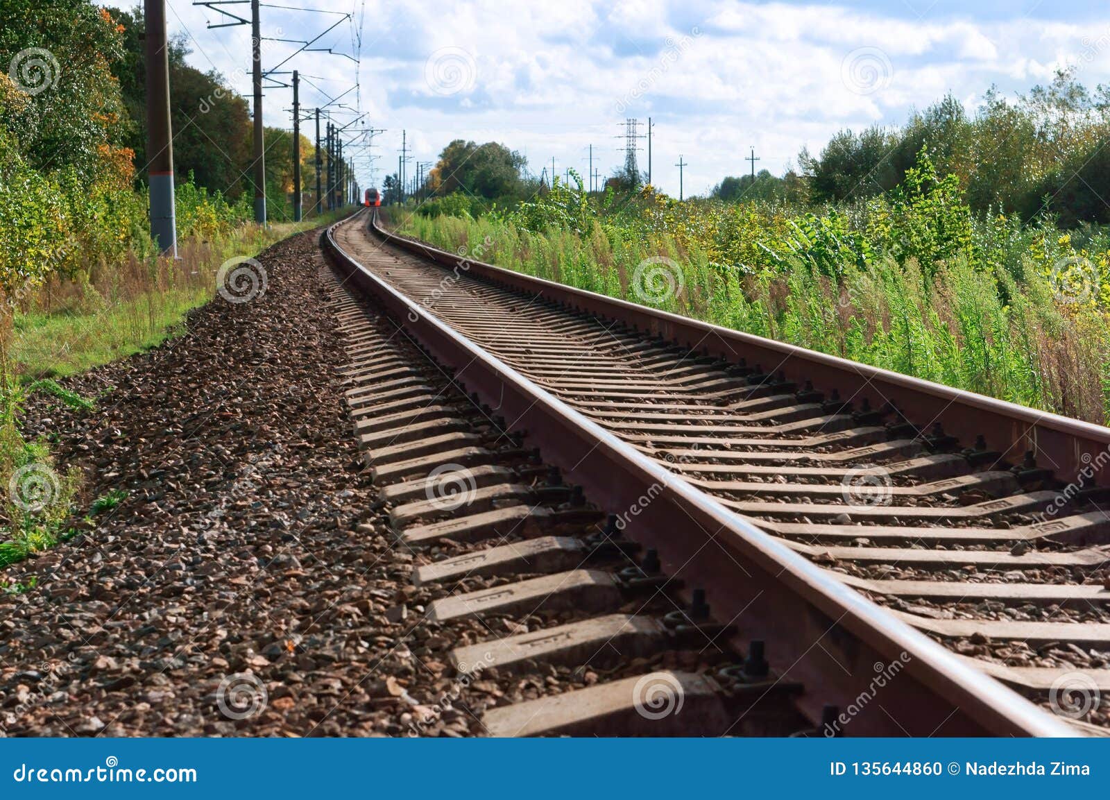 Died rails Died rails