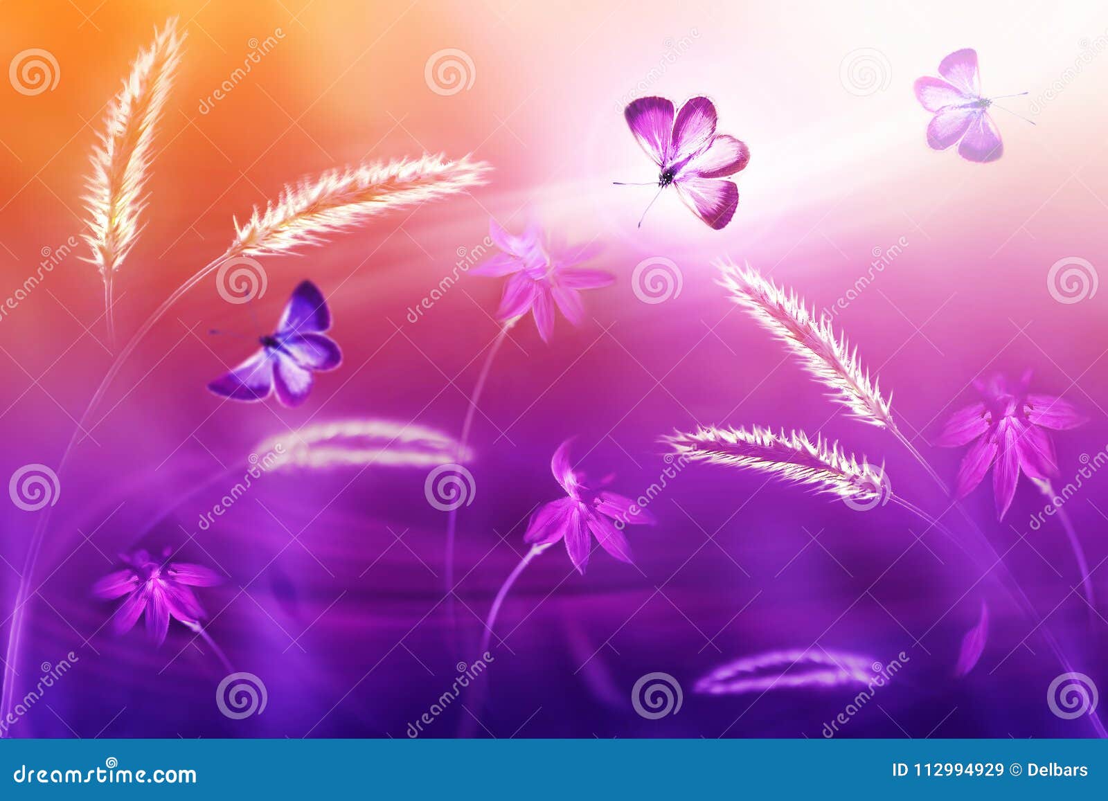 Розовые и фиолетовые бабочки против предпосылки полевых цветков в  фиолетовых и желтых тонах Фантастическое естественное лето худо Стоковое  Изображение - изображение насчитывающей япония, наконечников: 112994929