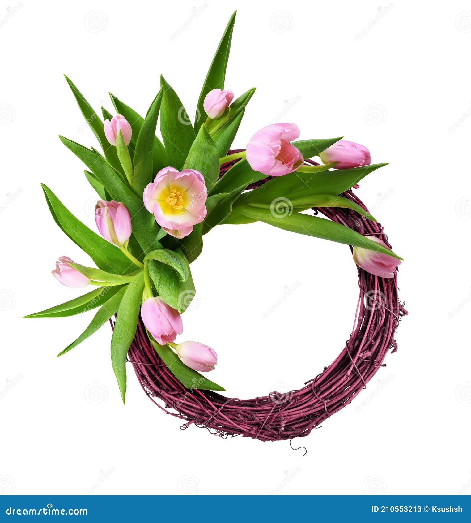 Розовые цветы тюльпанов в цветочной композиции с рамой круга из ротангаизолированной на белом Стоковое Изображение - изображение насчитывающейсостав, завод: 210553213