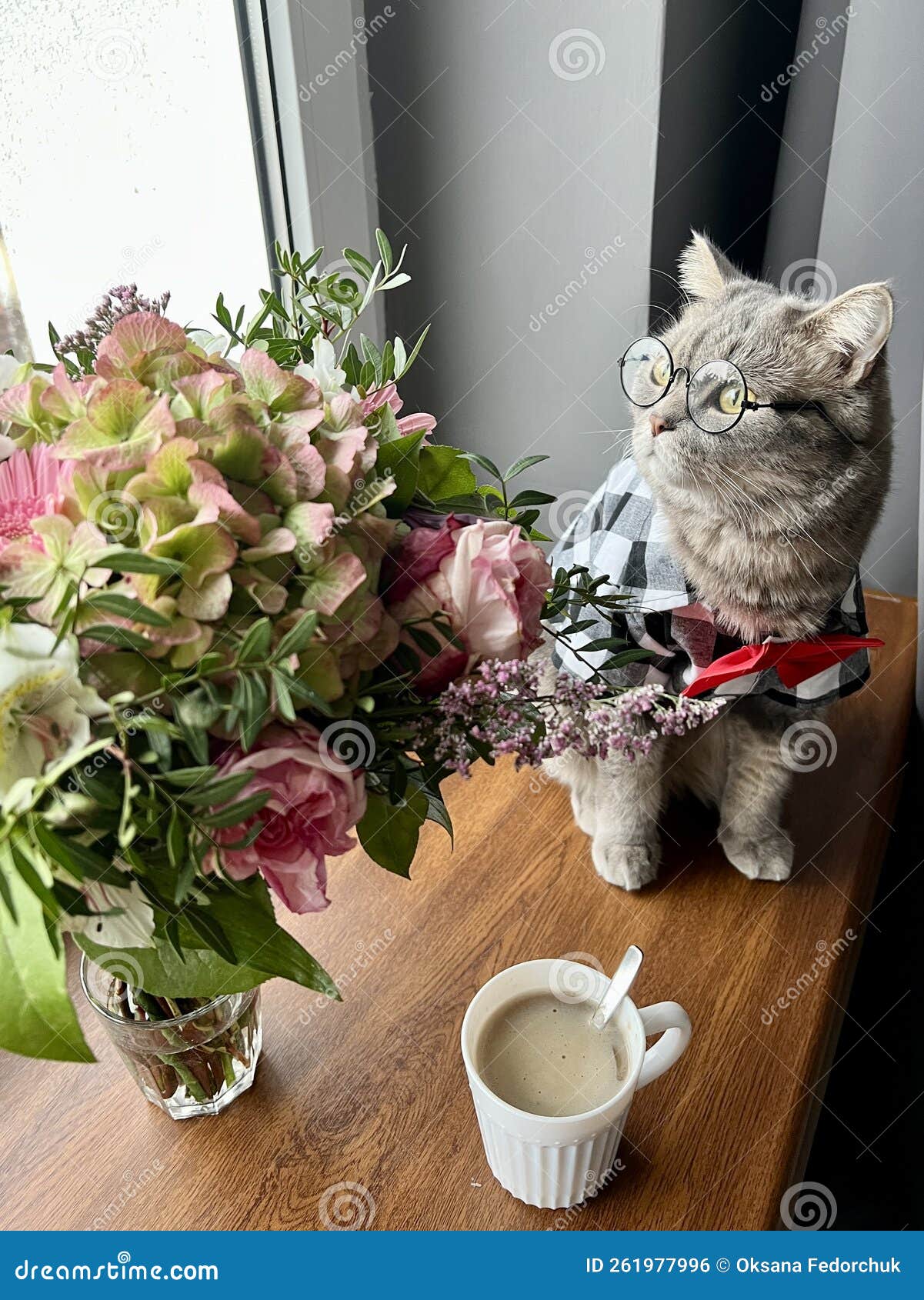 Картинка кот с букетом