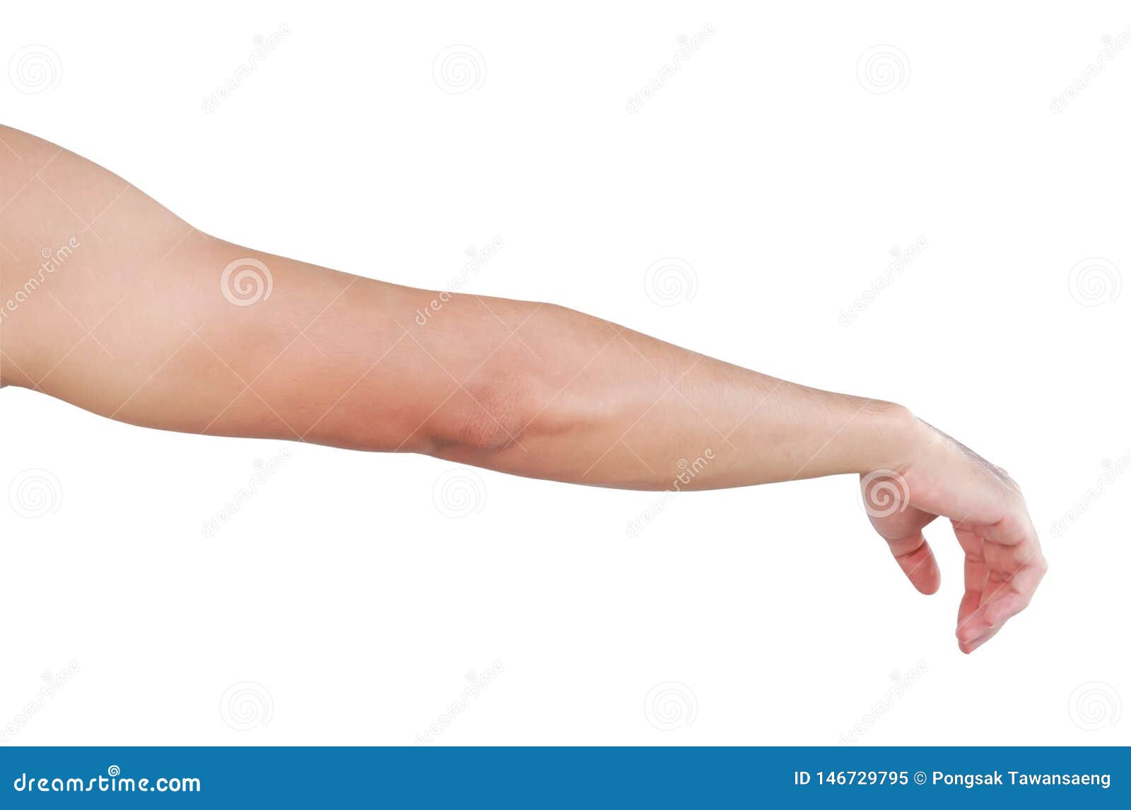 Рука Человека Фото