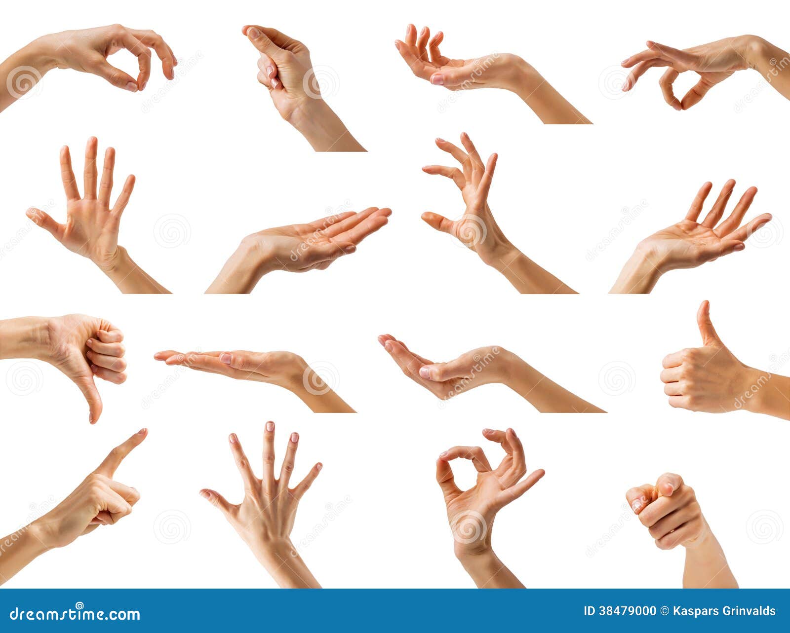 Руки collection. Красивые жесты руками. Жесты кистей рук. Женские руки жесты. Женская кисть руки.