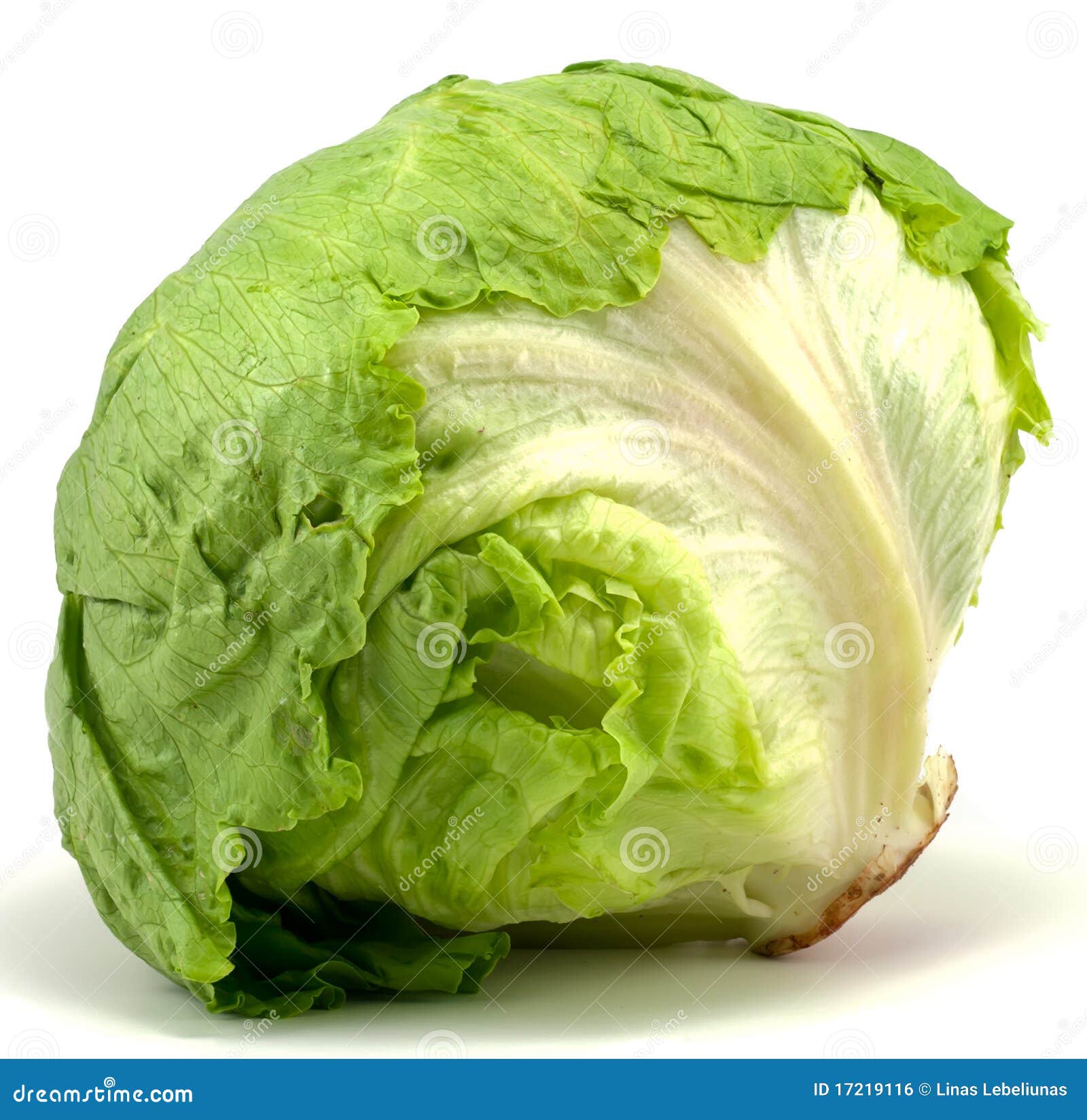 Капуста для цезаря. Fresh Iceberg lettuce. Латук кочанный. Салат латук Айсберг. Латук или Айсберг.
