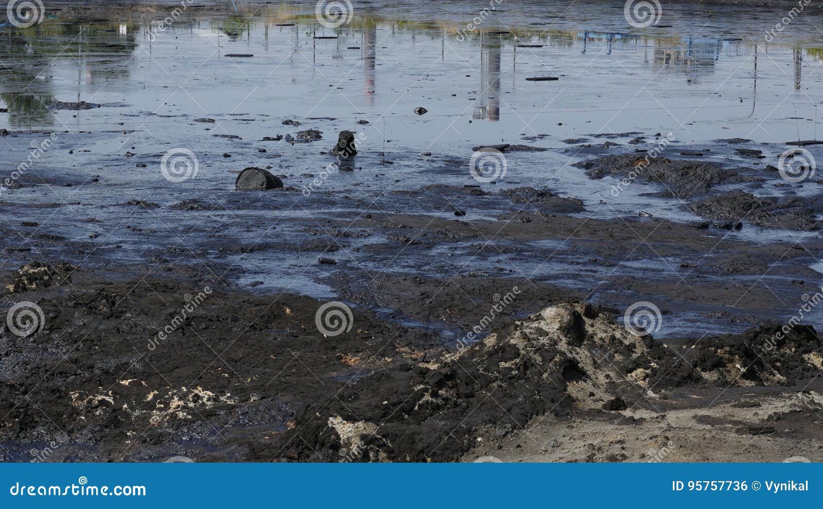 Deepwater horizon разлив нефти. Засорение окружающей среды. После отхода вод. После отхода вод. Deepwater horizon oil spill.