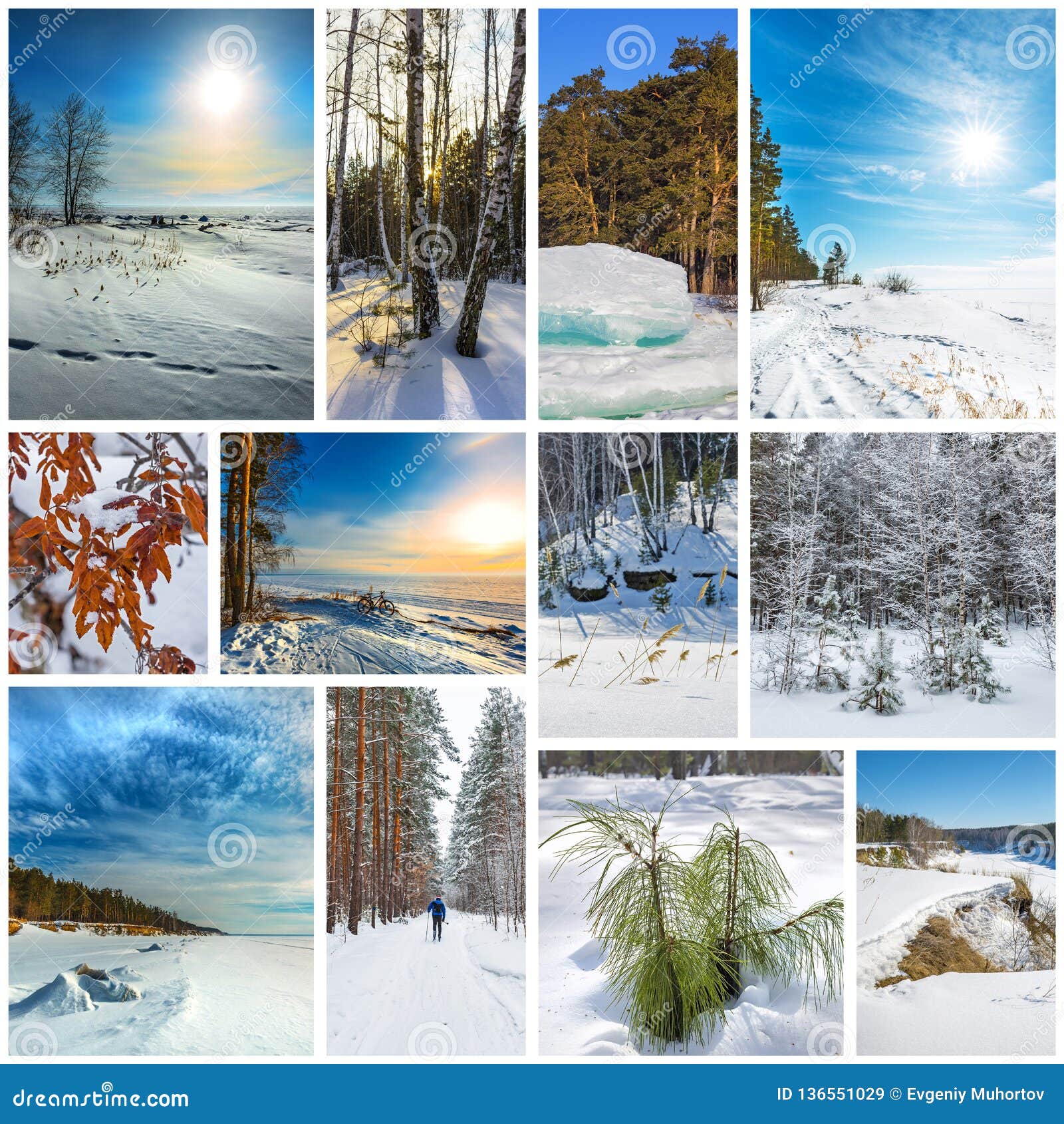 Тест природа сибири. Зимний пейзаж коллаж. Времена года зима коллаж. Сибирь коллаж зима. Коллаж Западная Сибирь.