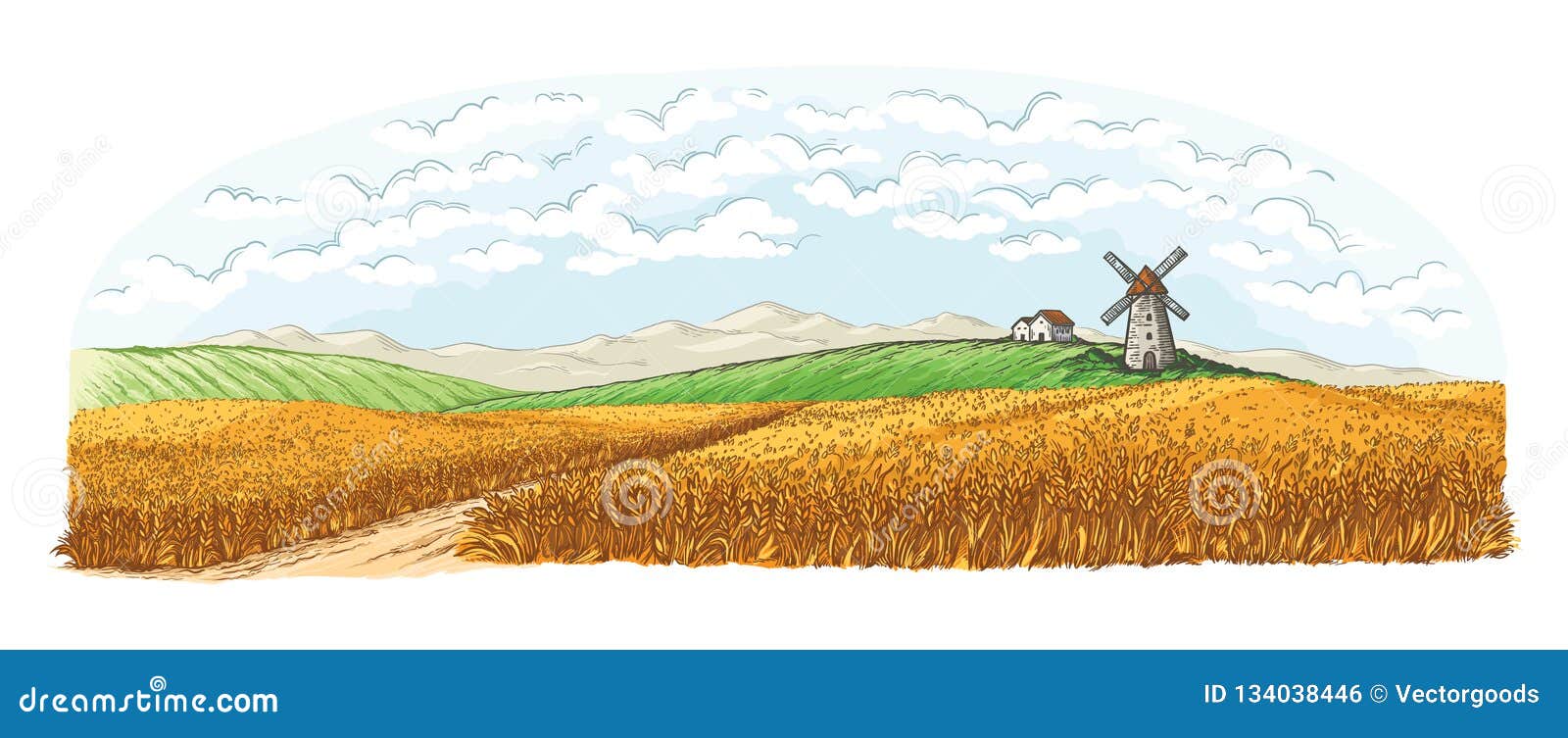 Поле картинка для детей