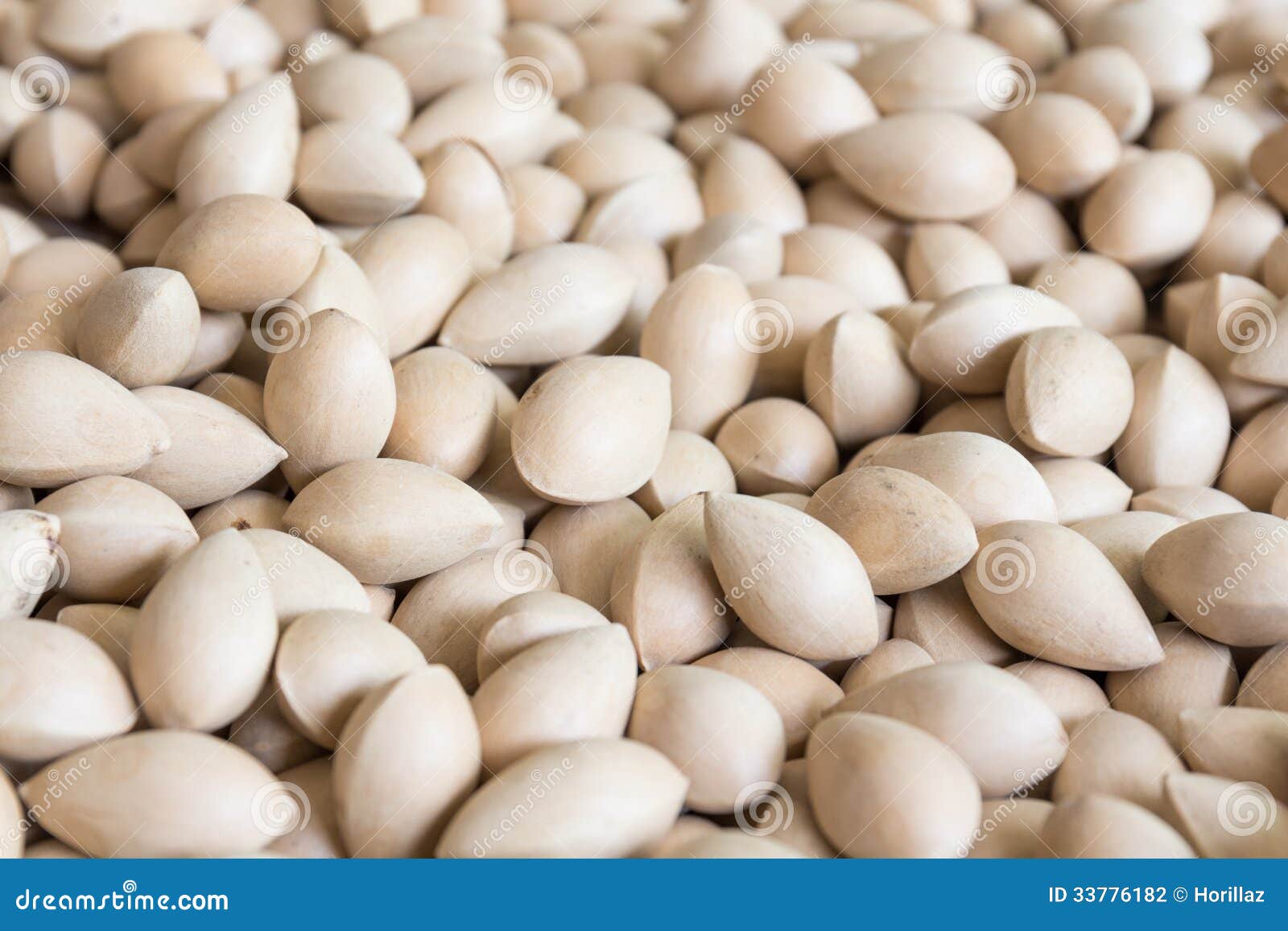Семена гинкго высушенные Biloba Стоковое Фото - изображение насчитывающей  китайско, лакомка: 33776182
