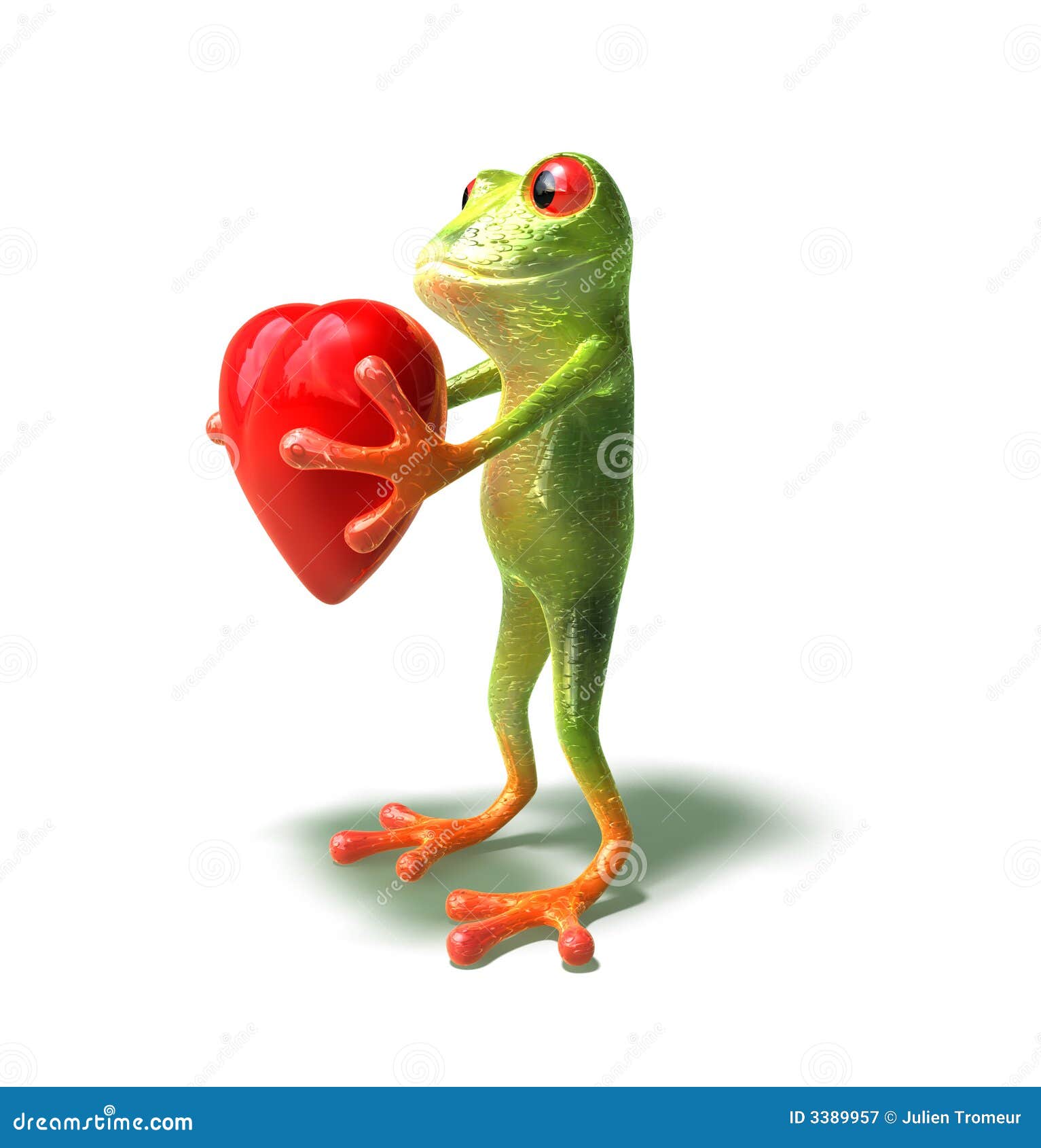 сердце лягушки иллюстрация штока. иллюстрации насчитывающей экологичность -  3389957