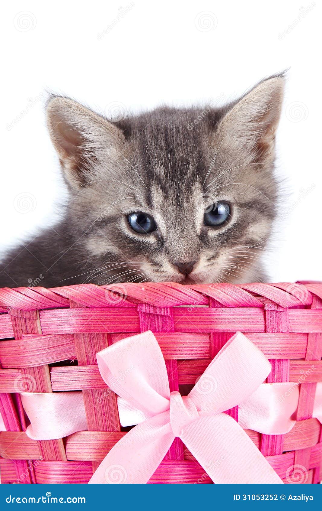 Котенок с бантиком