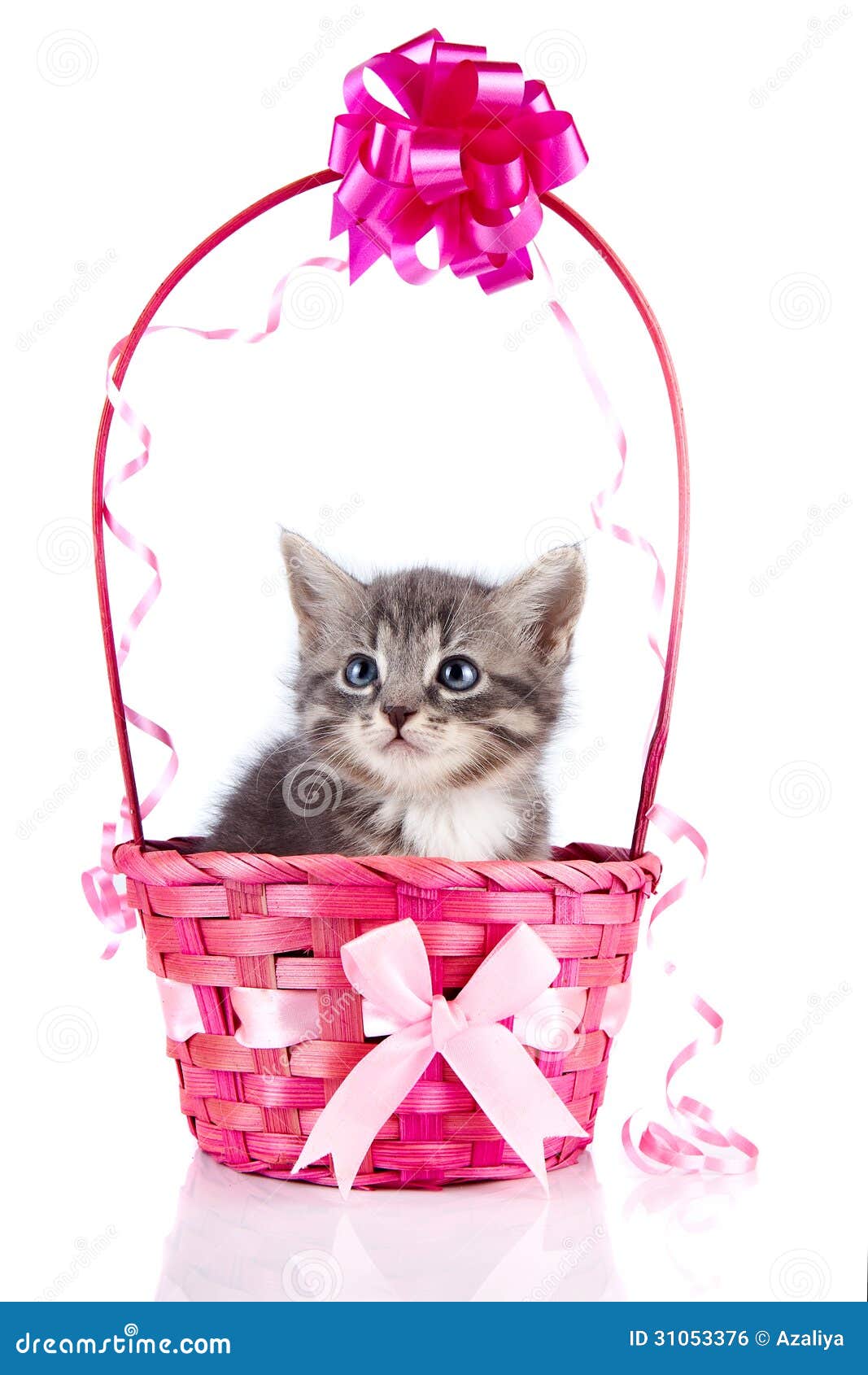 Котенок с бантиком