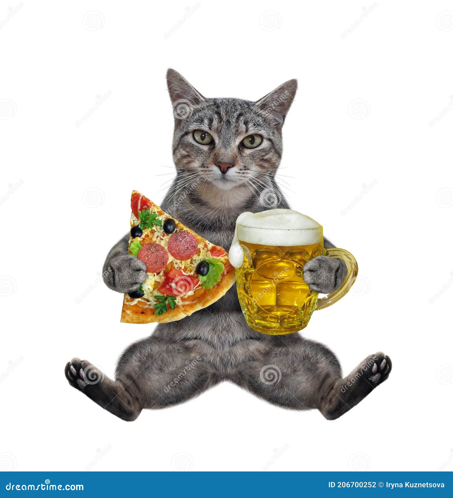 Кот с пивом