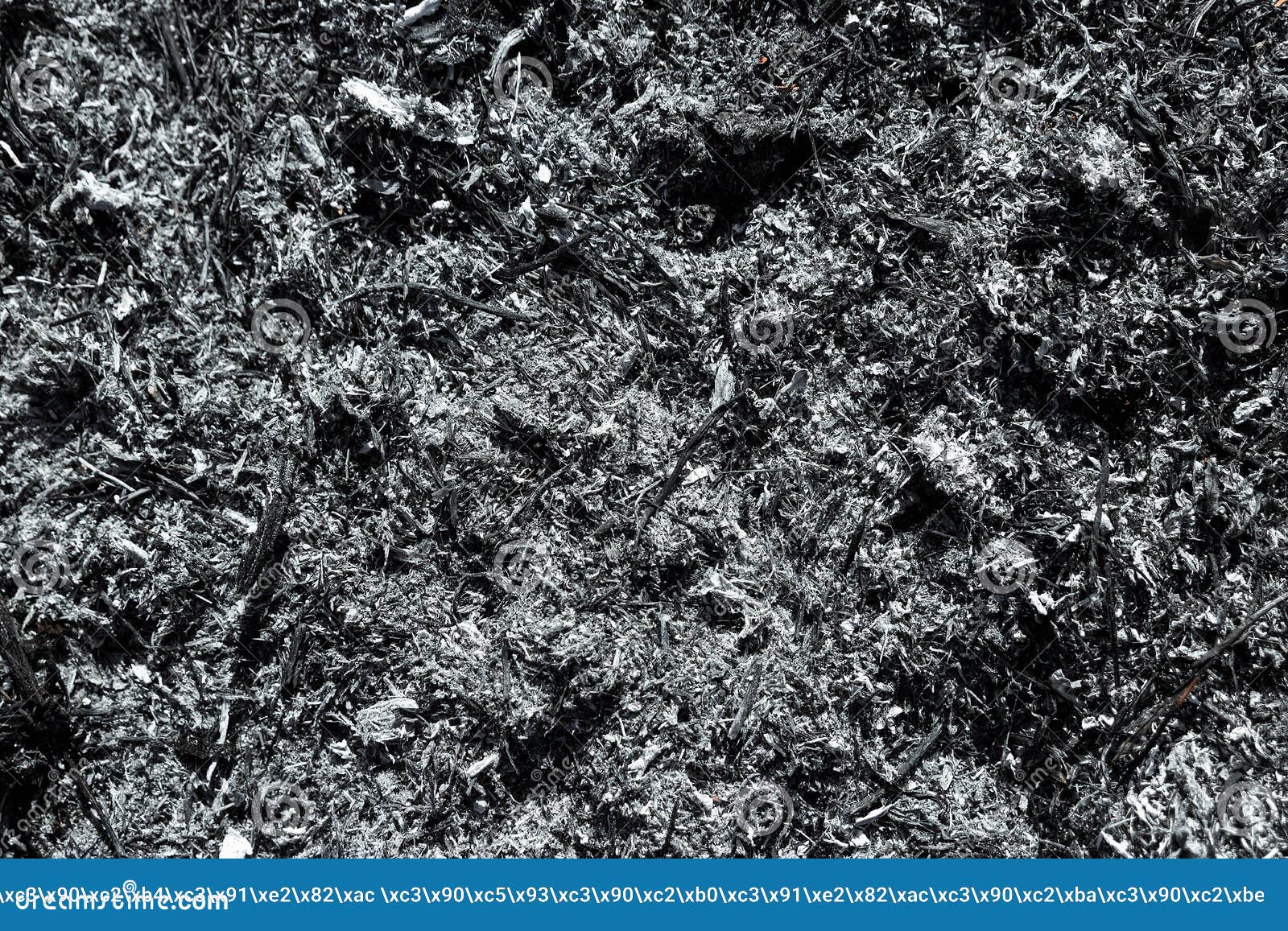 Серый пепел, обгоревшие растения, абстрактная текстура угл и золы Макрос  Стоковое Фото - изображение насчитывающей энергия, воспламеняюще: 159733330