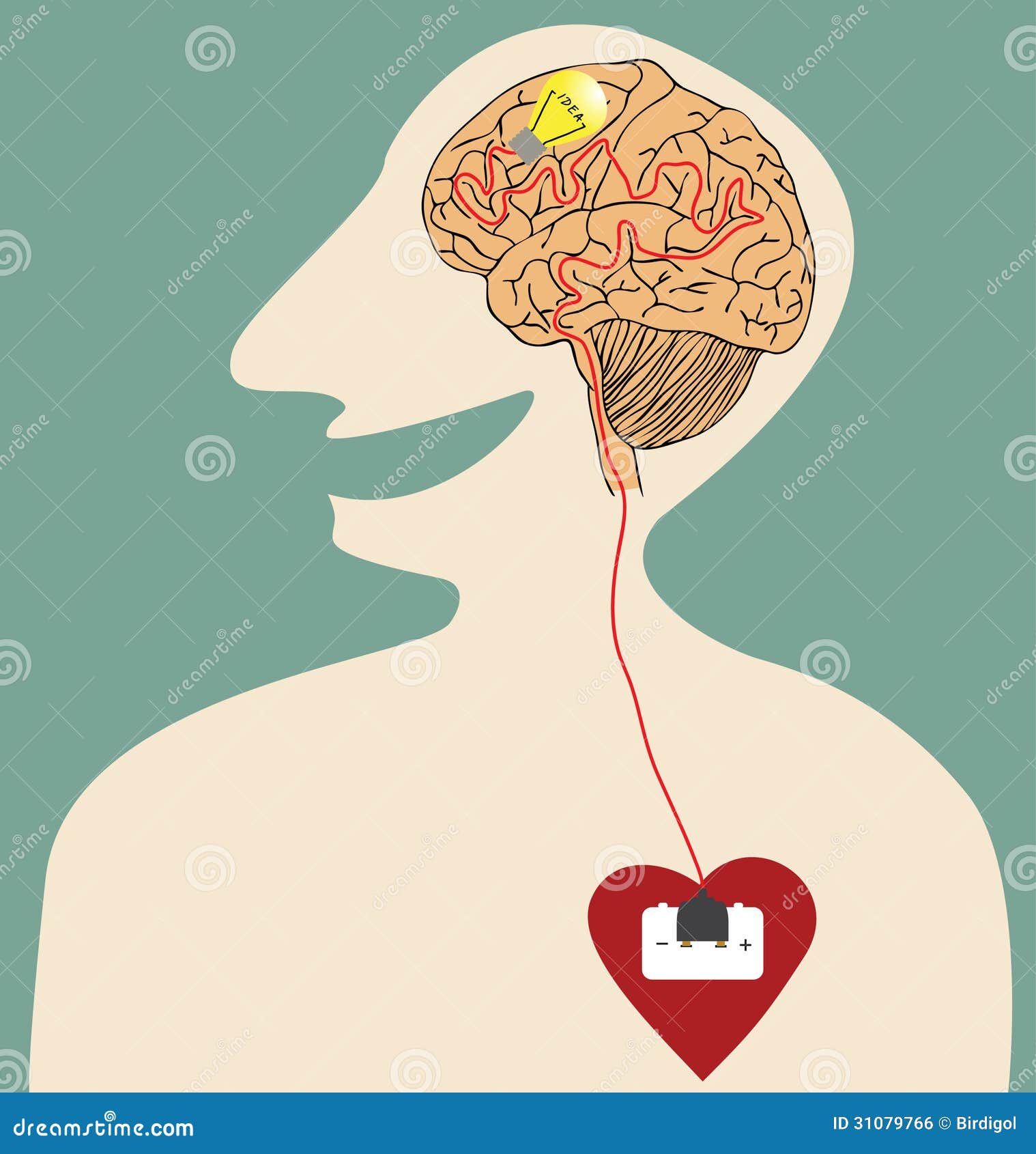 У сердца есть мозг. Мозг и сердце. Мозг и сердце вместе. Сердце и мозг человека. Мозг и сердце арт.