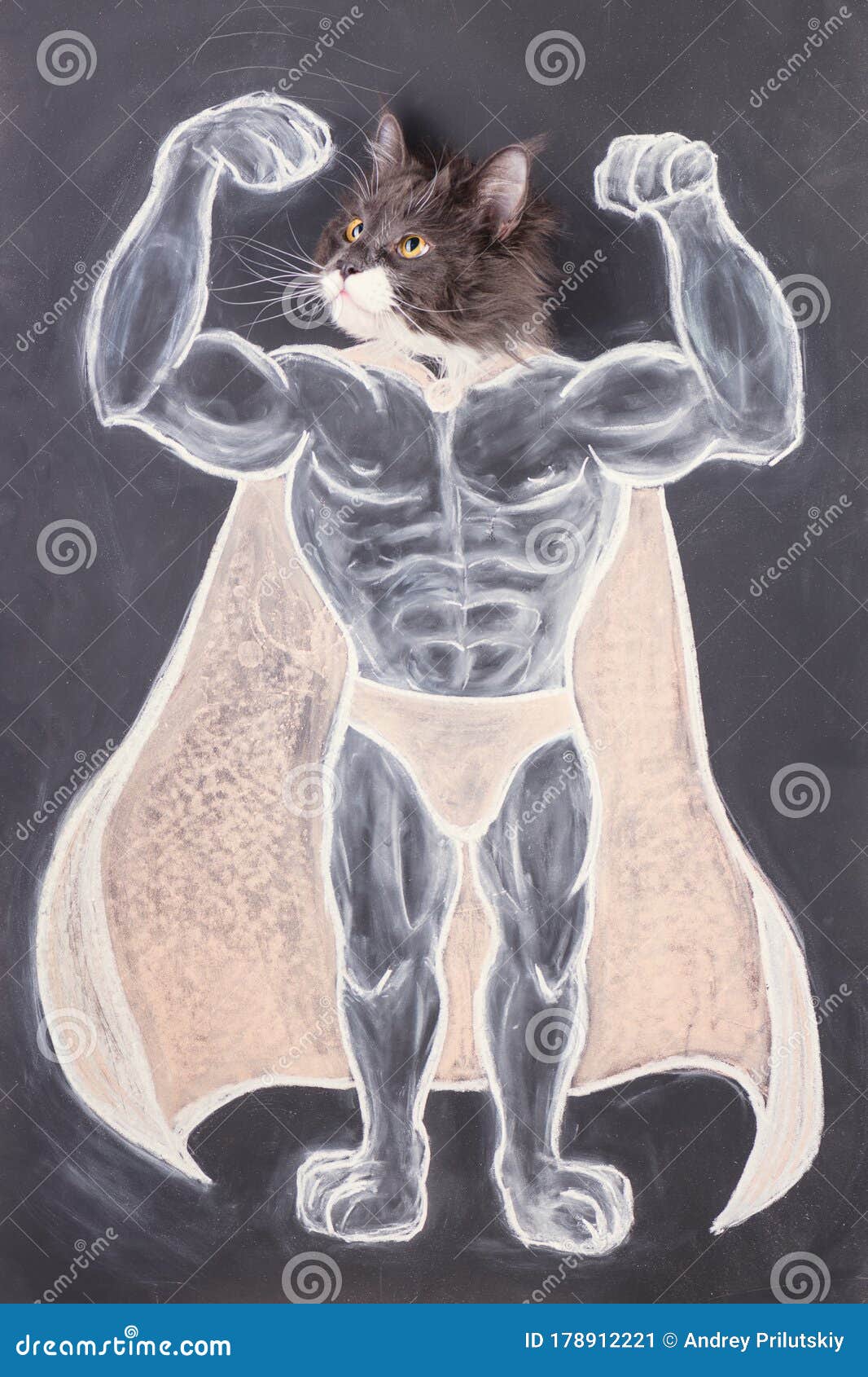 Кот бодибилдер