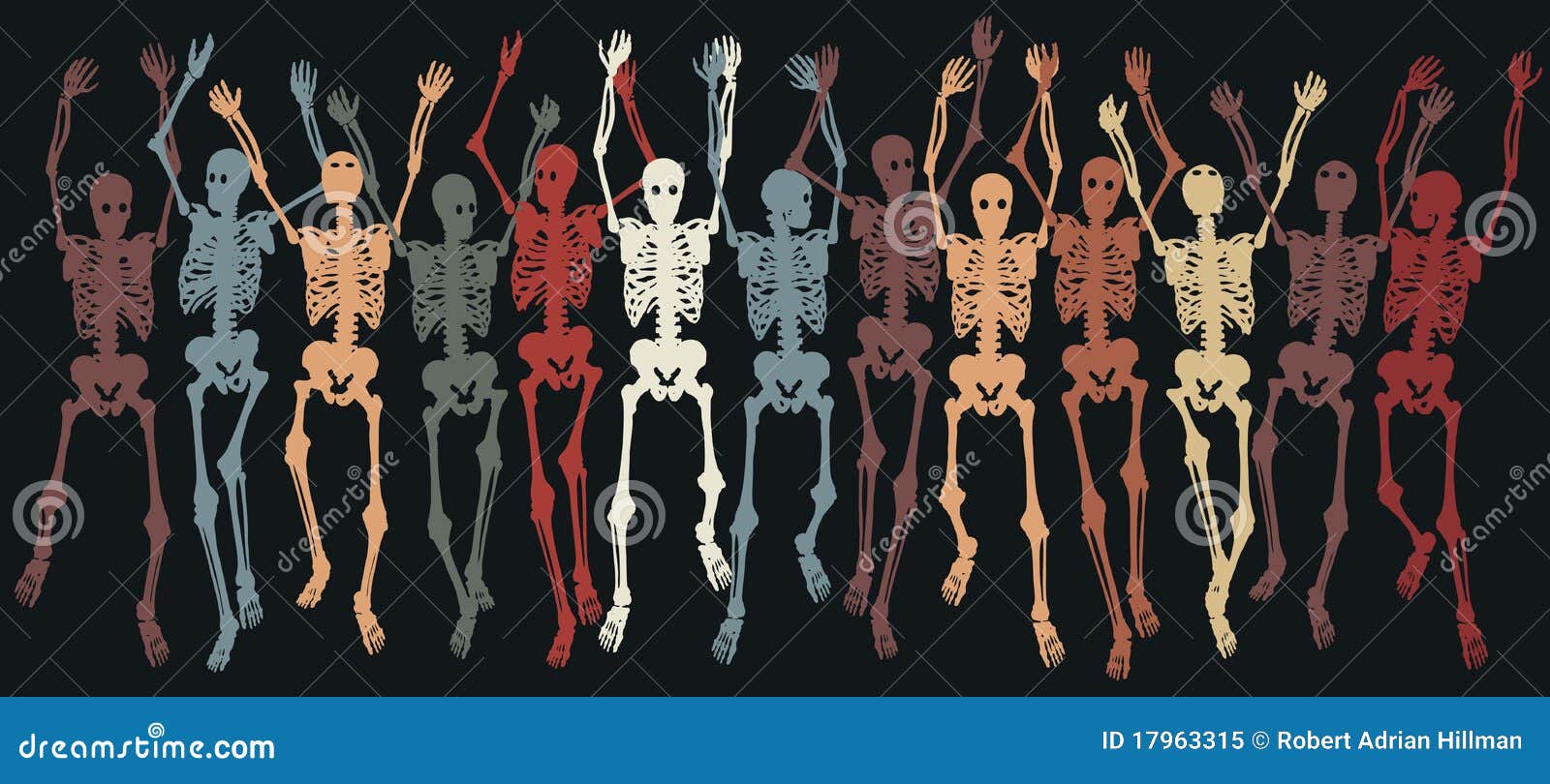 Скелеты в шкафу 2024. Постер скелет. Стенд скелет.