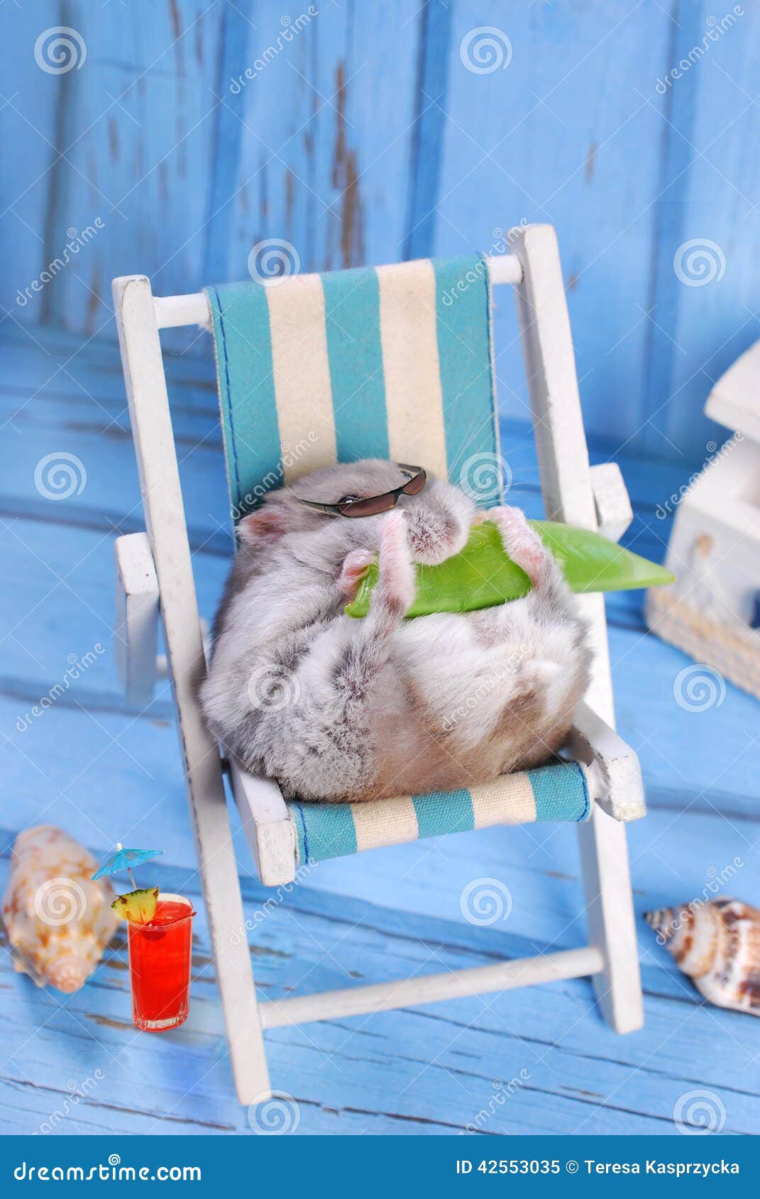 Хомяк на море