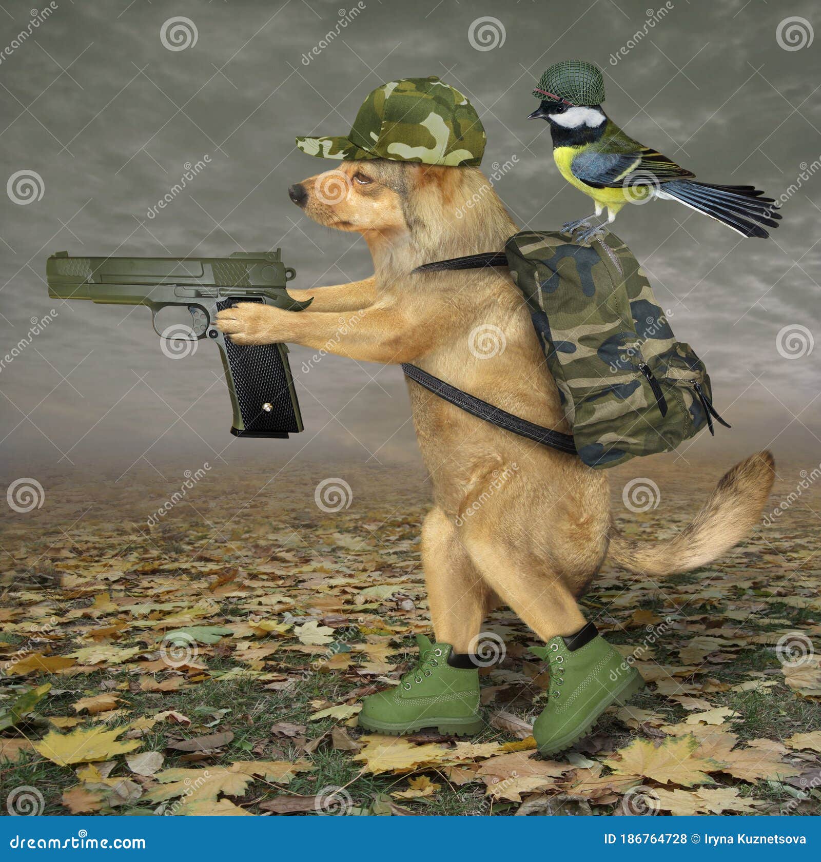 Собака идет с оружием в лесу Стоковое Фото - изображение насчитывающей  противник, удача: 186764728
