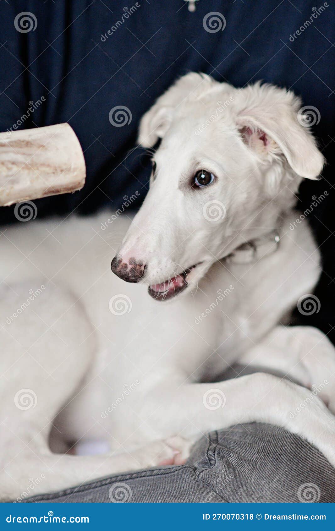 русская шлюха 