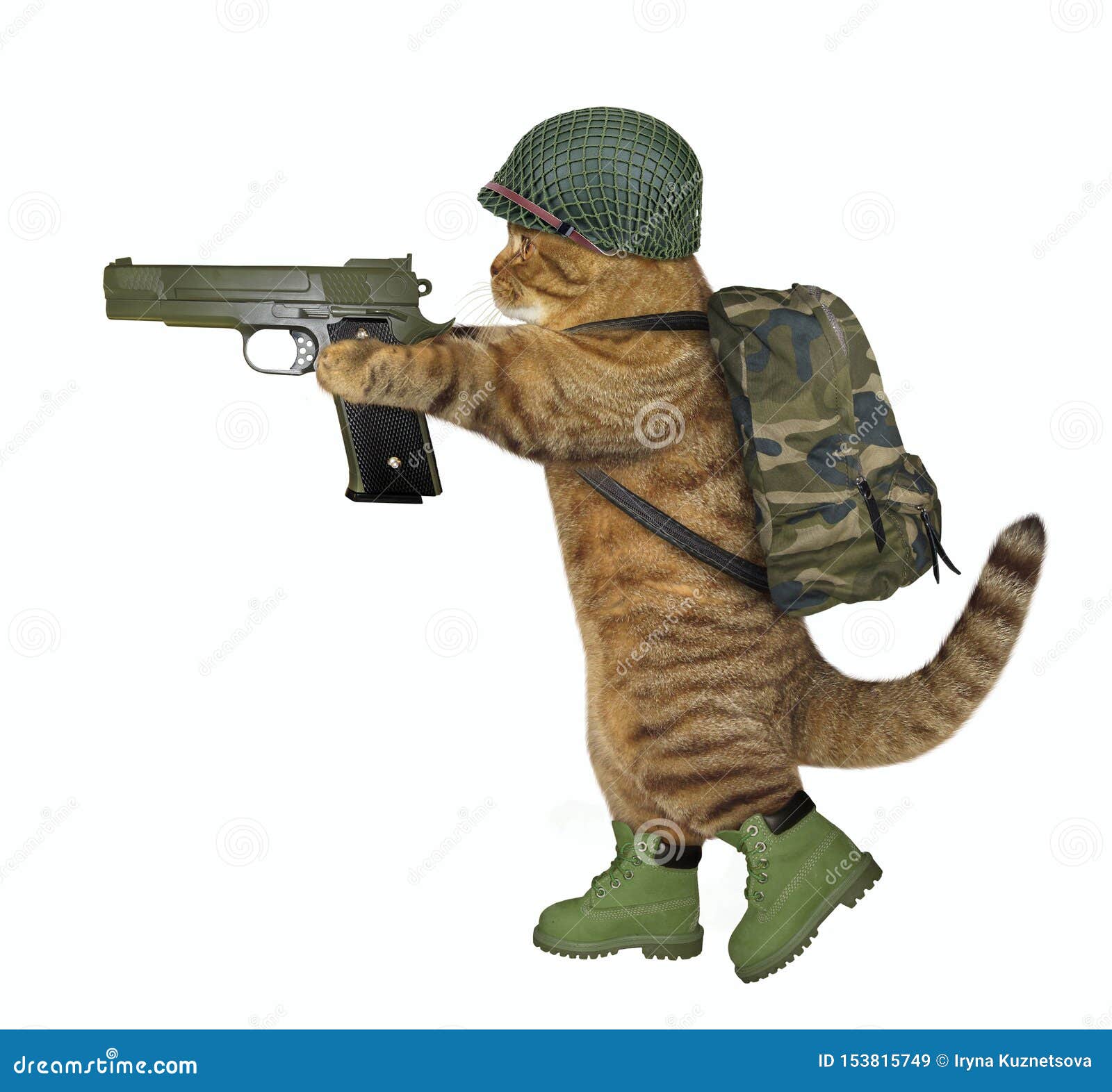 Кот солдат рисунок