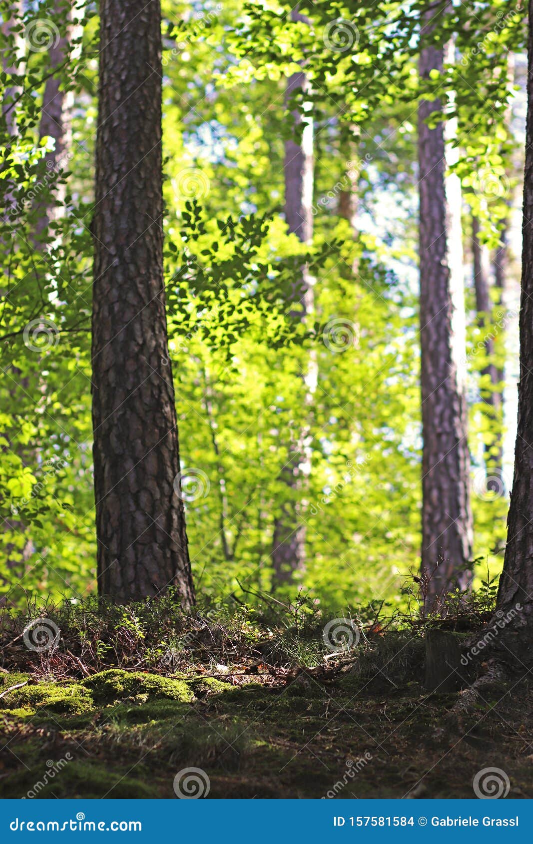 Красивый Осенний День Фото