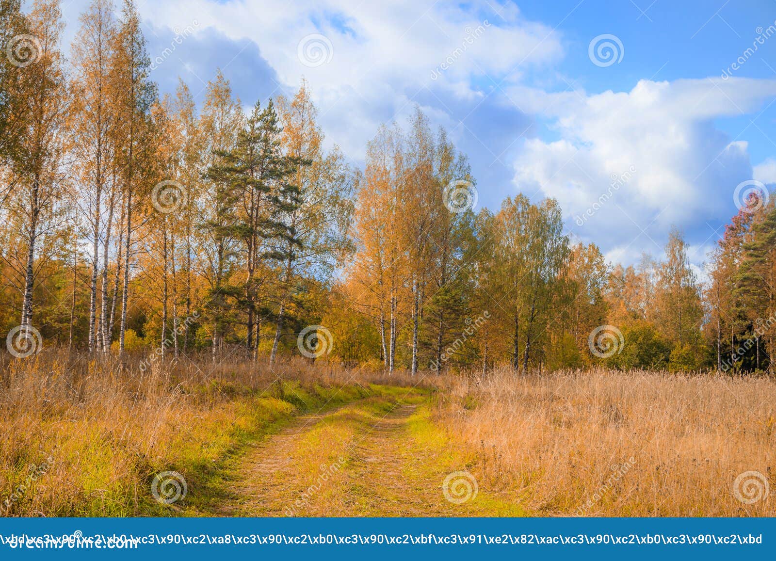 Фото Осенней Природы России