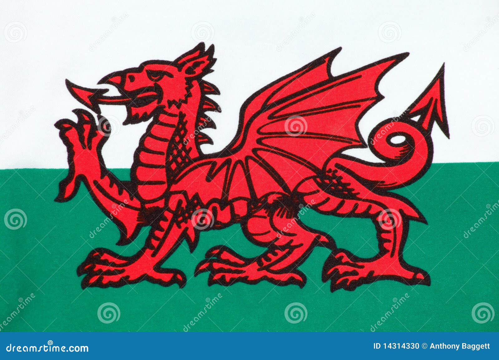 Welsh. Национальный флаг Уэльса. Уэльс флаг флаг. Красный дракон на флаге Уэльса. Дракон на флаге Уэльса.