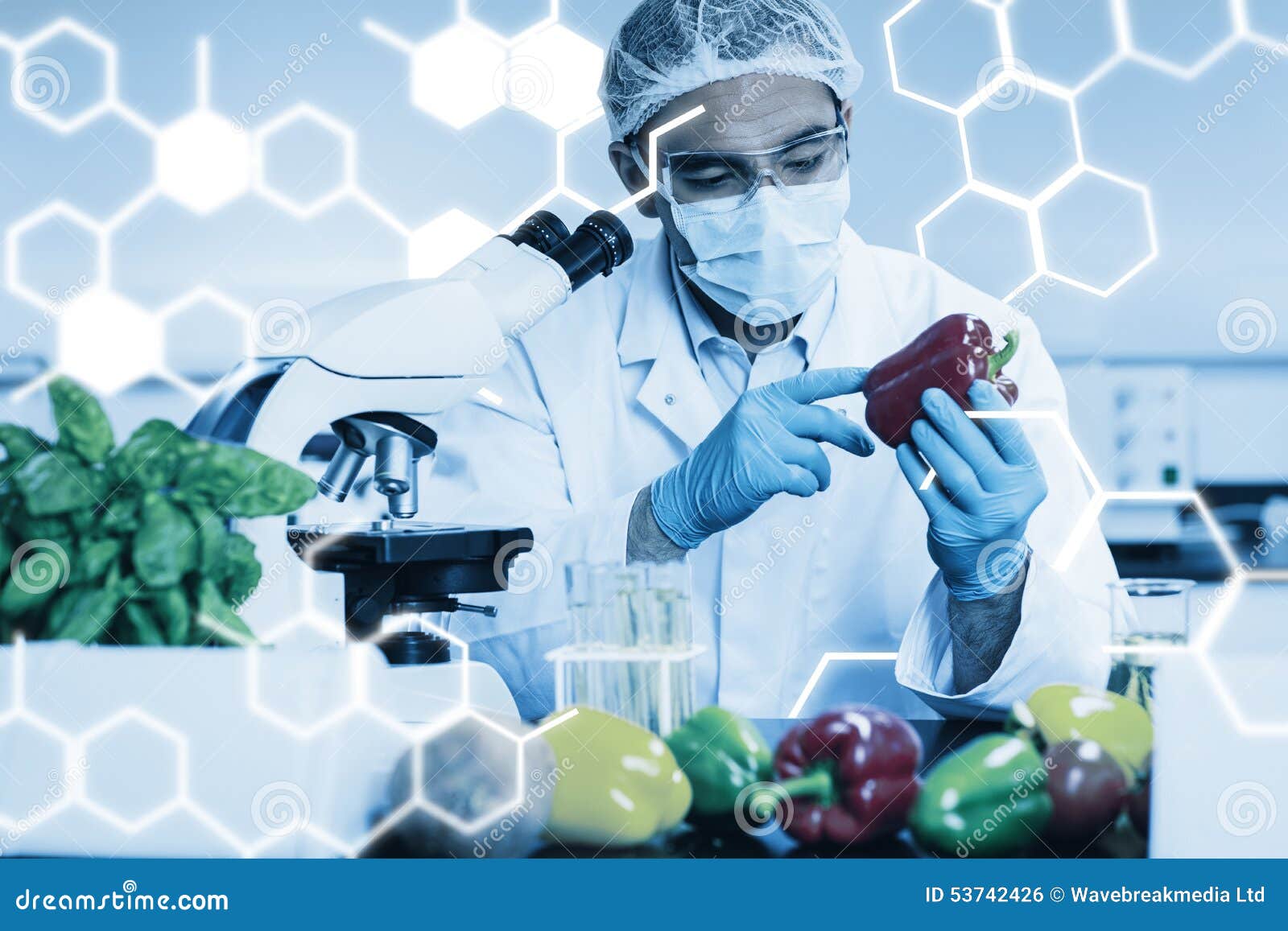 Роль органической химии в пищевой безопасности. Пищевая химия. Химия в пищевой промышленности. Химия в пищевых продуктах. Органическая химия и пищевая промышленность.