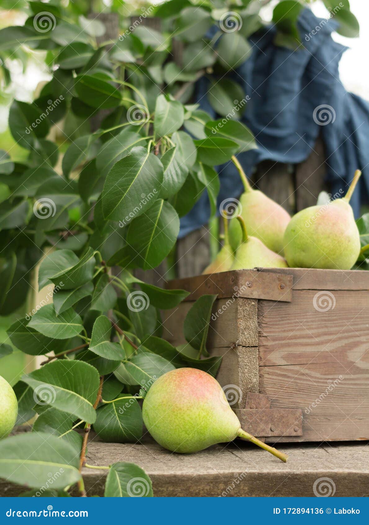 Вкусные Фото На Природе Вкусные Фото На Природе
